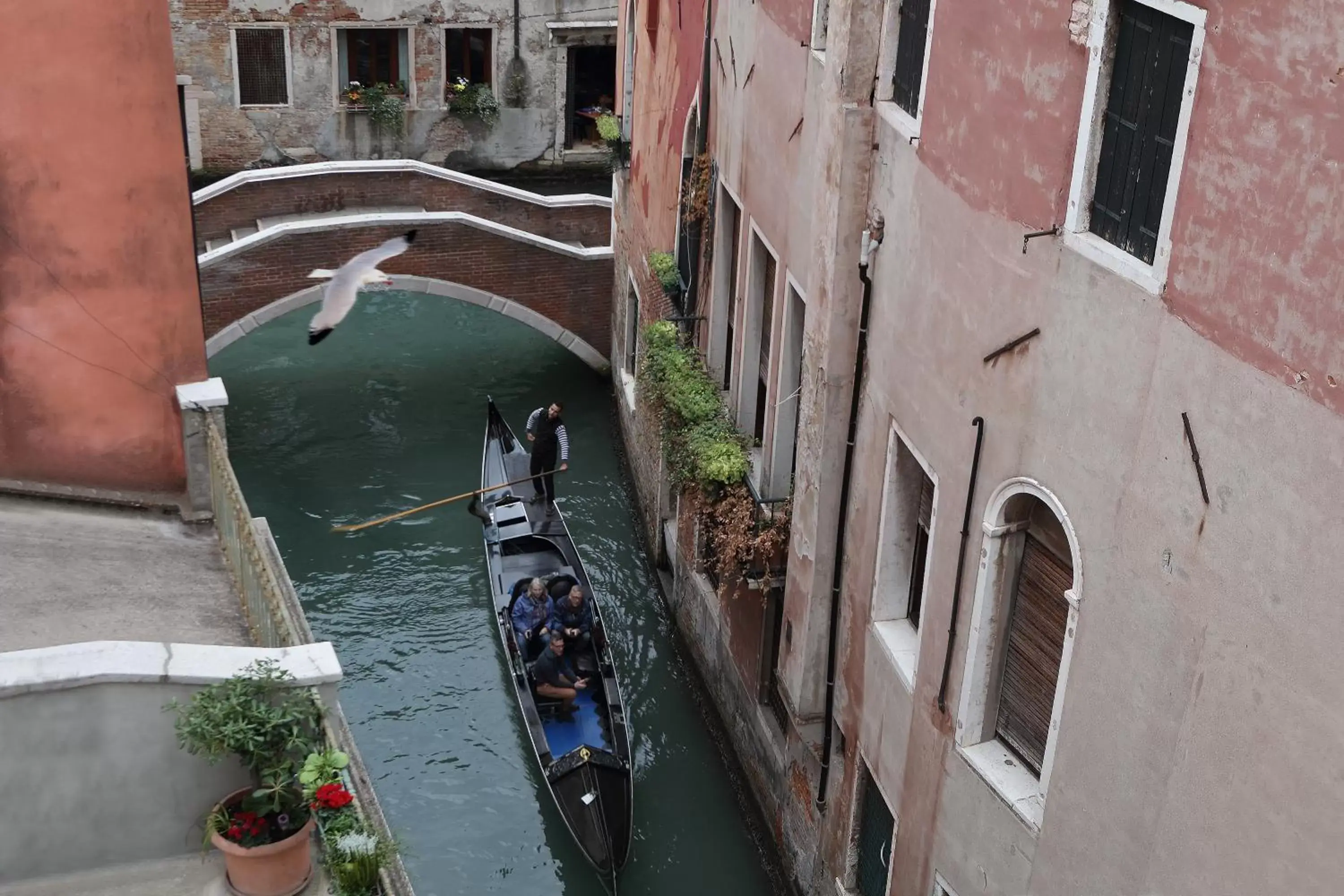 View (from property/room) in Ruzzini Palace Hotel View (from property/room) in Ruzzini Palace Hotel