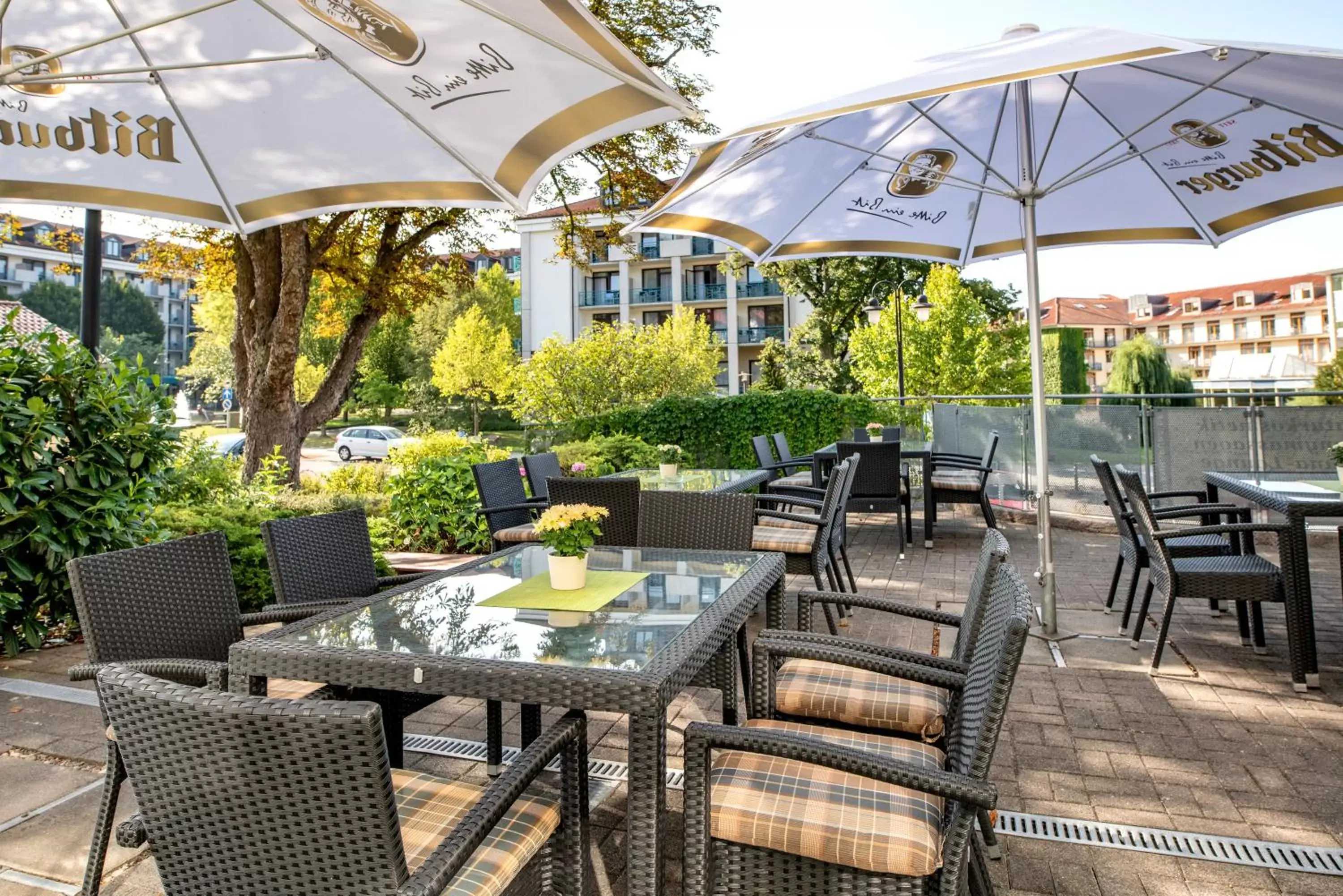 Patio, Restaurant/Places to Eat in Hotel Herzog Georg