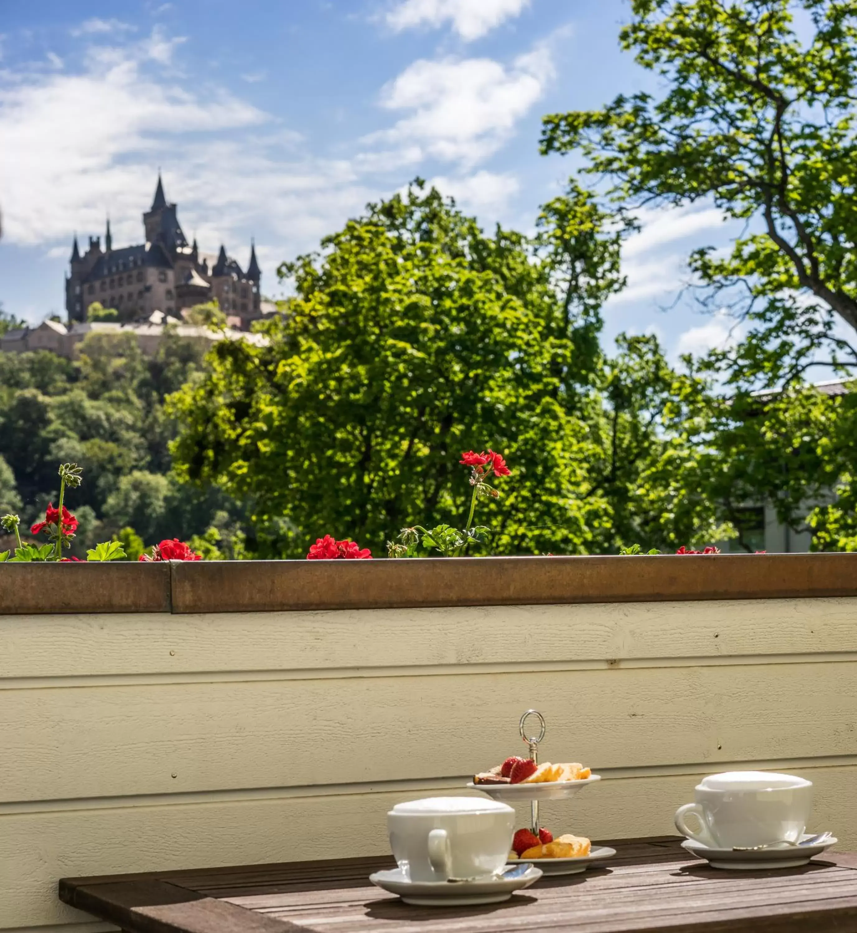 Landmark view in Boutiquehotel Schloßpalais