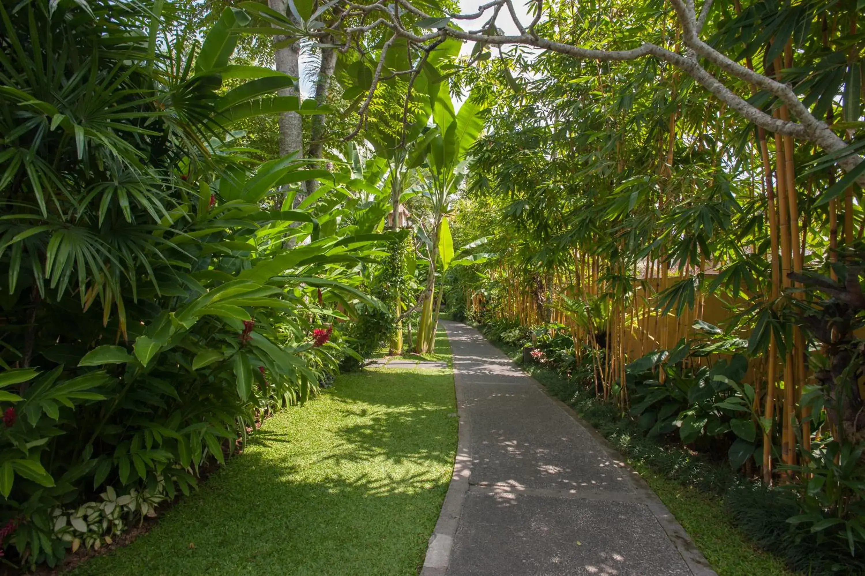 Garden in Komaneka at Monkey Forest Ubud