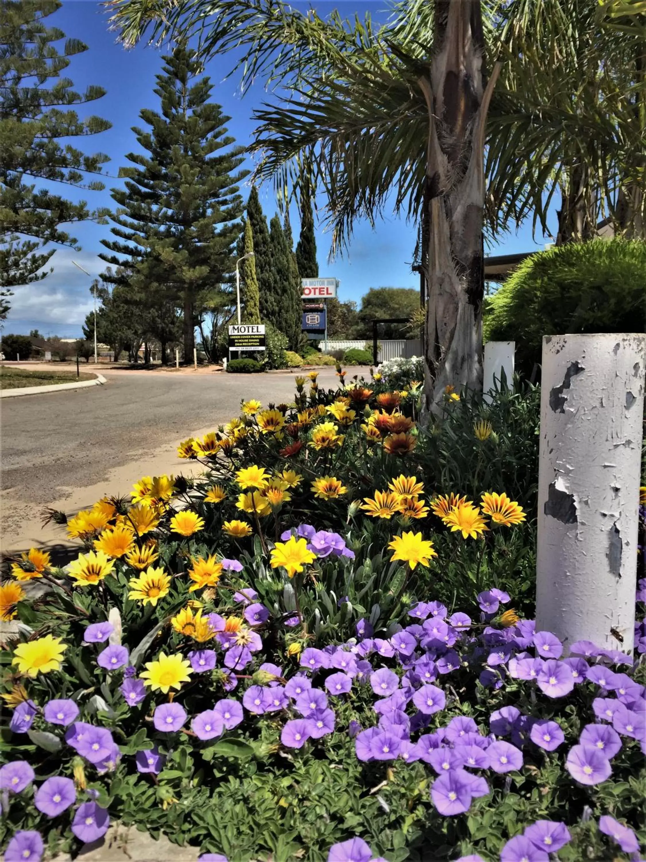 Garden in Ceduna Motor Inn