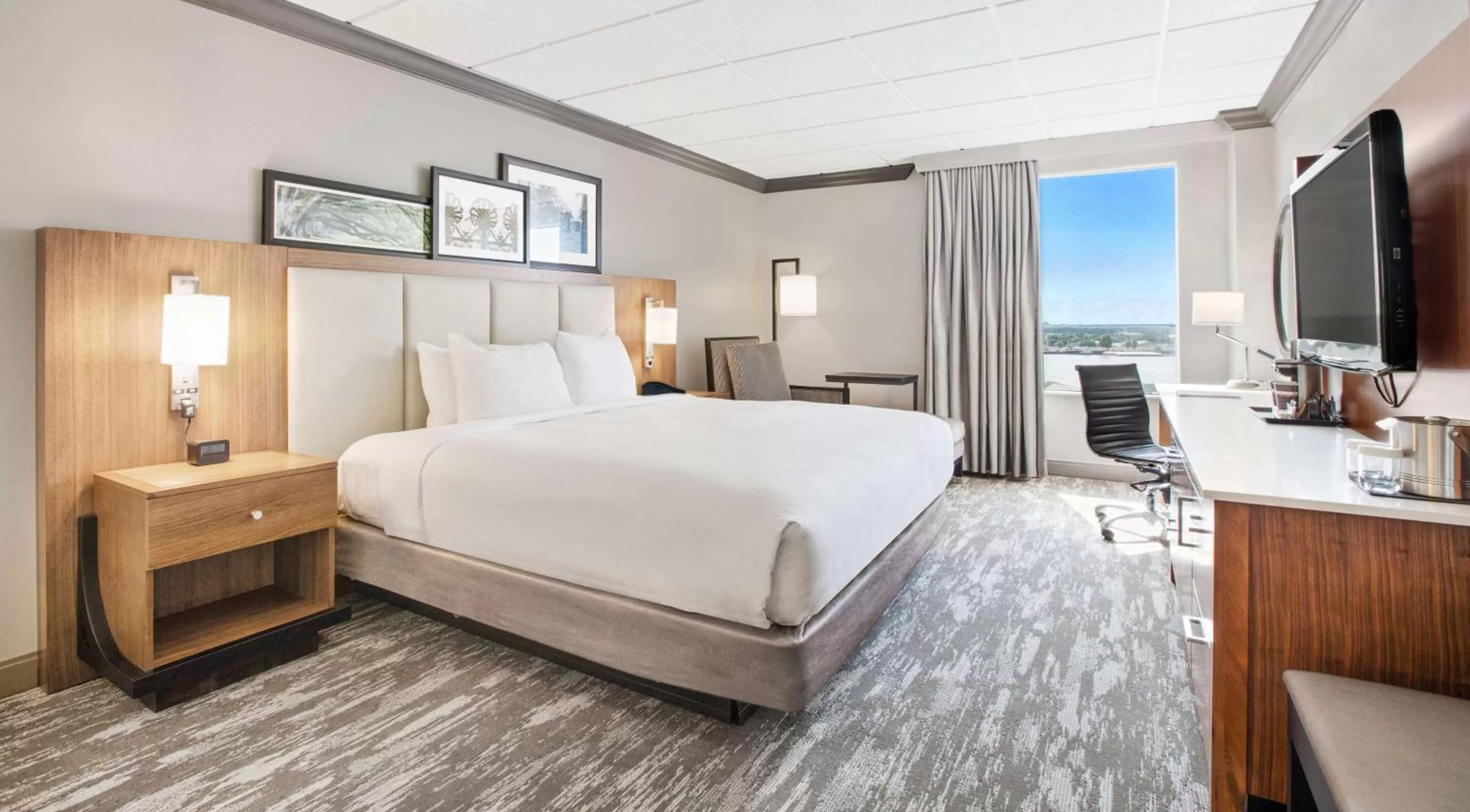 Deluxe King Room - Non-Smoking in DoubleTree by Hilton New Orleans