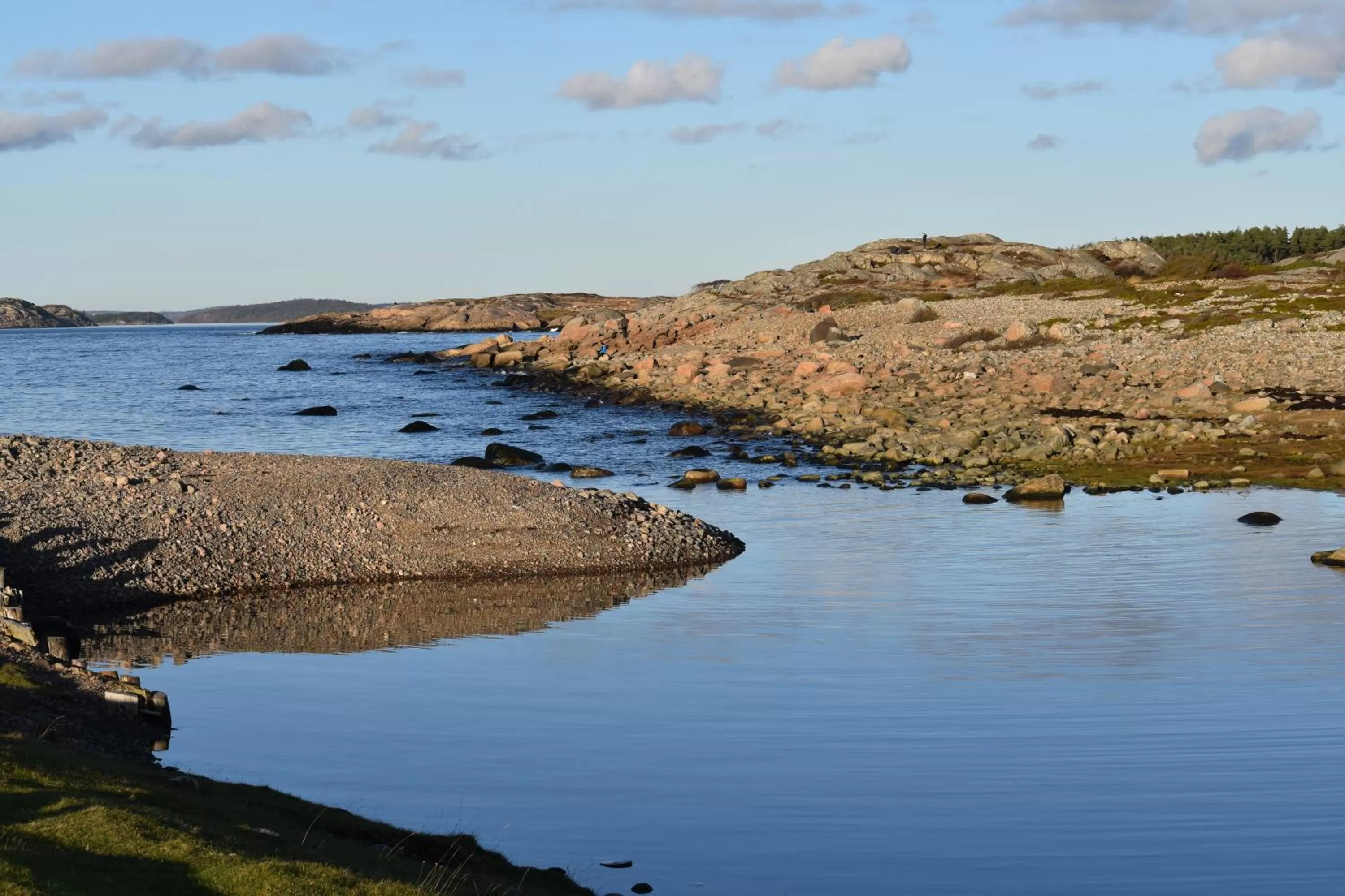 Natural landscape in Åsa Jutegård