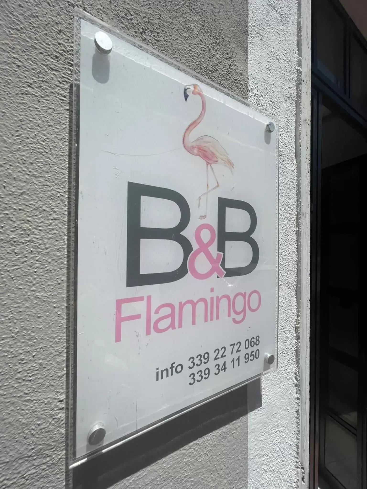 Property logo or sign in Flamingo B&B