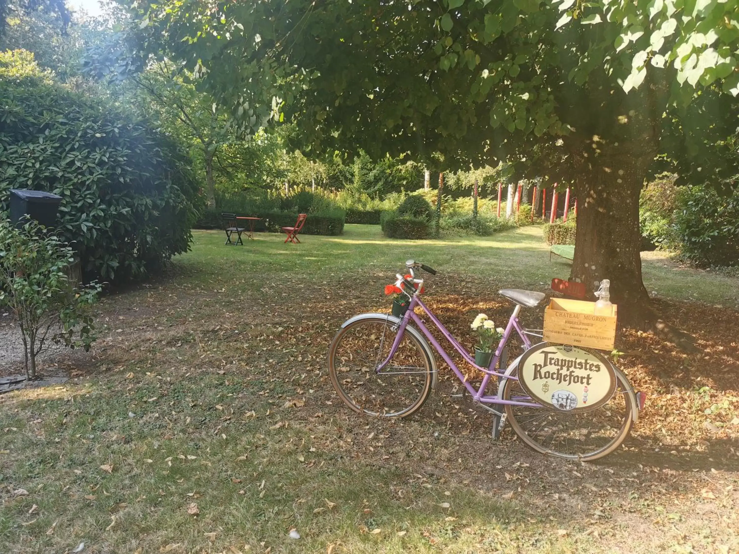 Garden in VILLA LES CAMELIAS