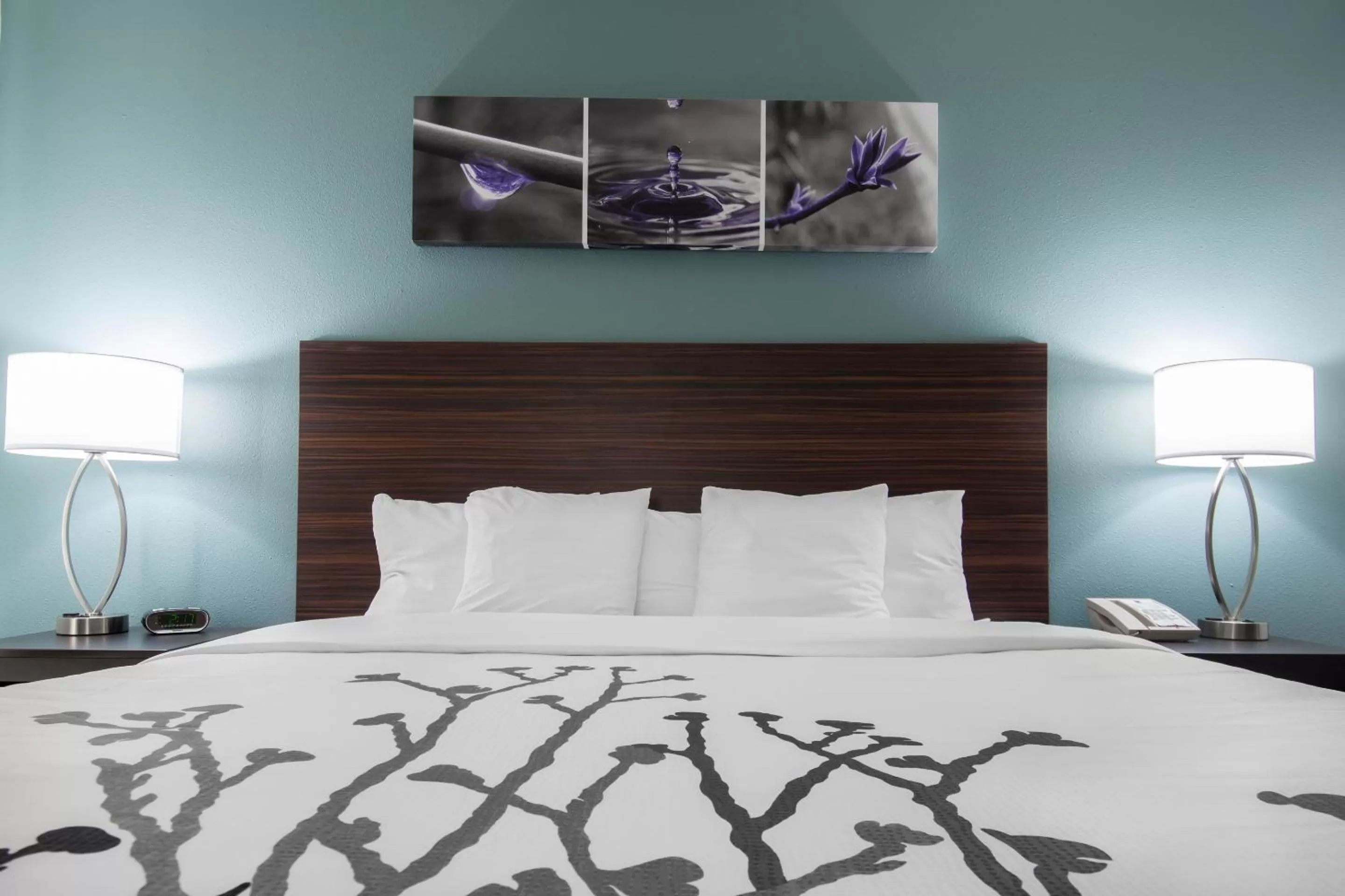 King Room with tub - Accessible/Non-Smoking in Sleep Inn & Suites Washington near Peoria