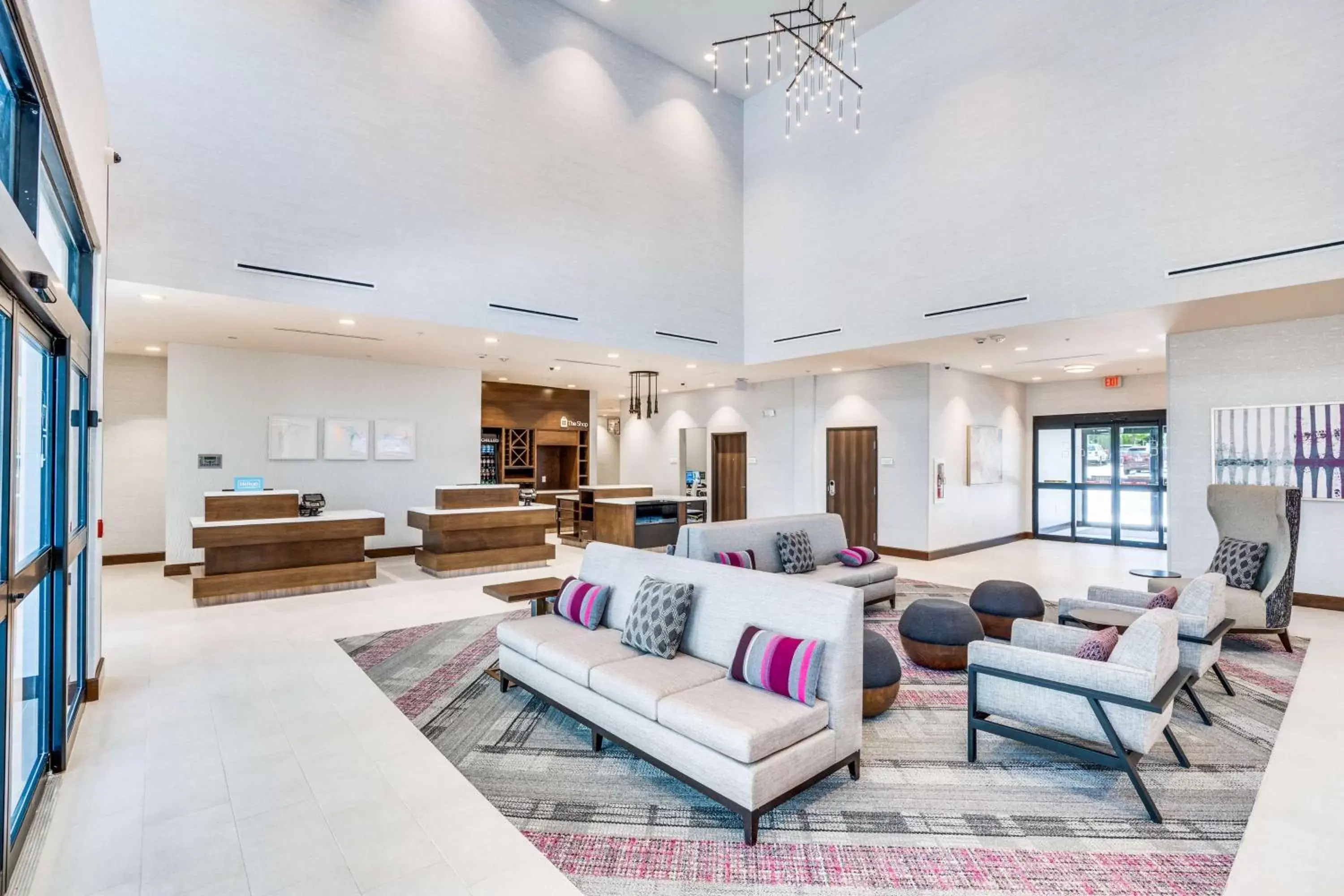 Lobby or reception, Seating Area in Hilton Garden Inn Dallas-Central Expy/North Park Area, Tx