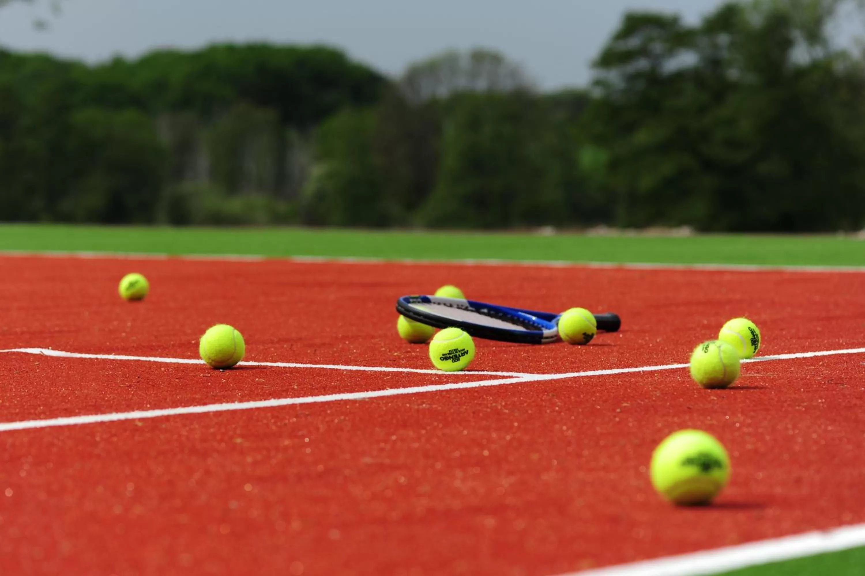 Activities in Olandia