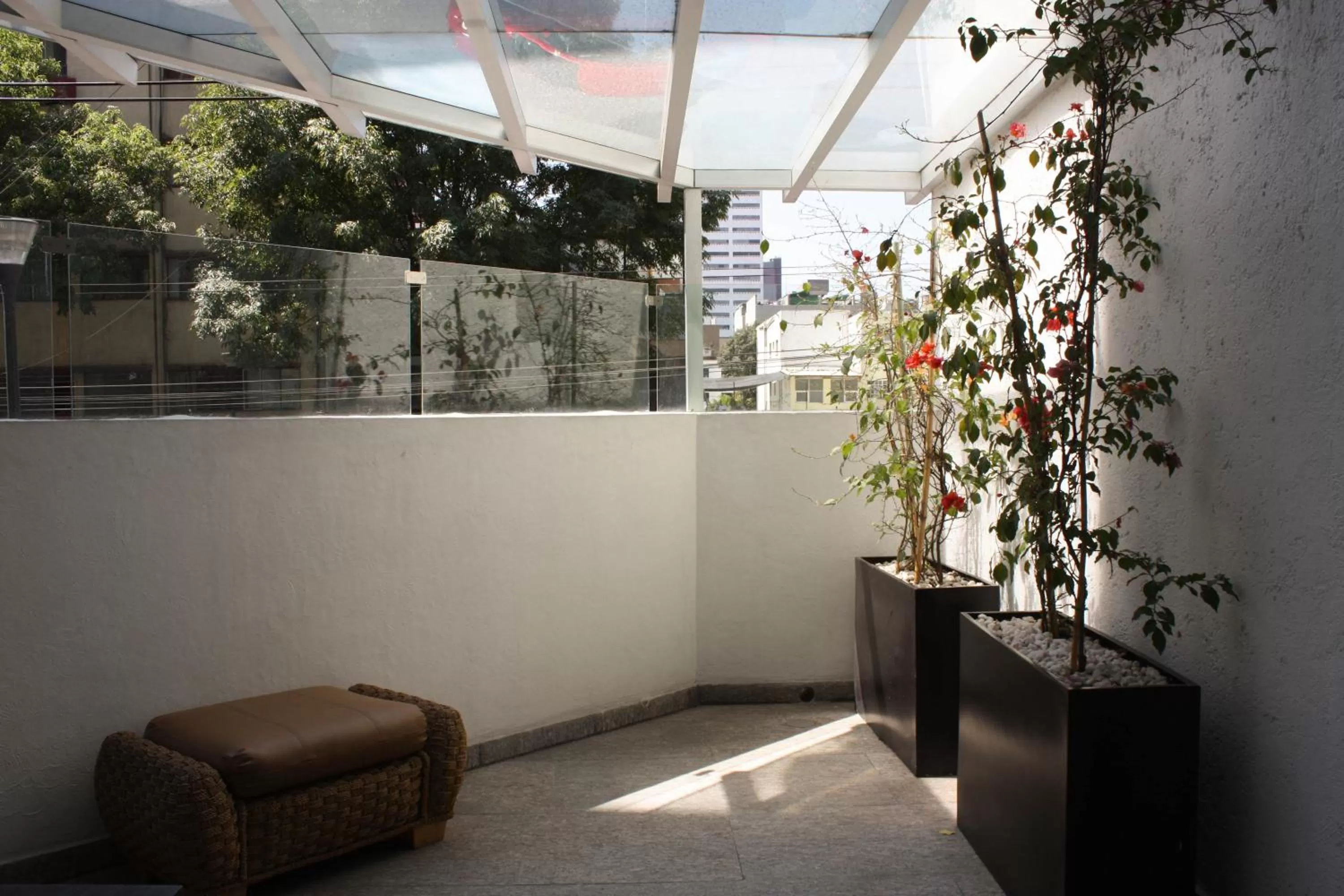 Balcony/Terrace in LaiLa Hotel CDMX Reforma