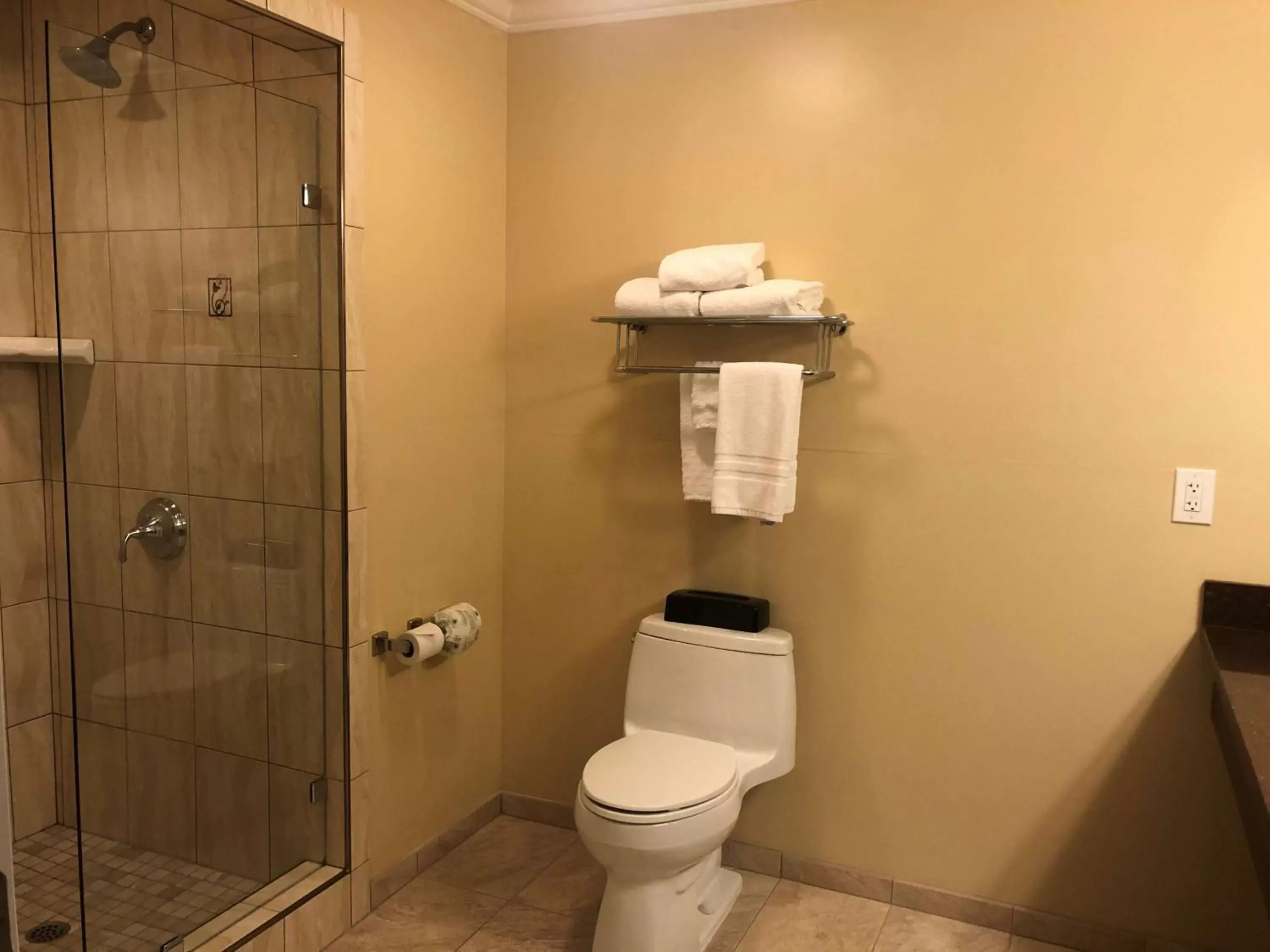 Bathroom in Best Western Plus Airport Plaza