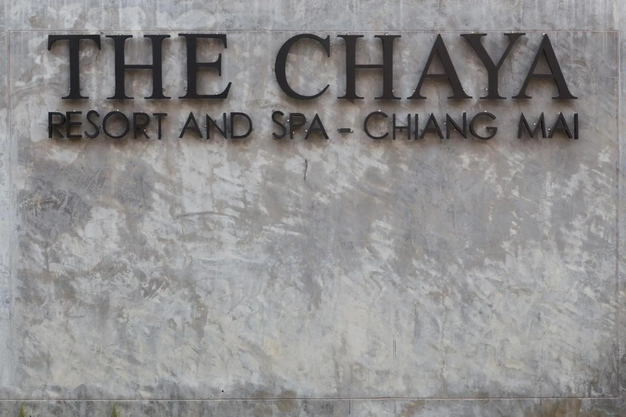 Logo/Certificate/Sign in The Chaya Resort and Spa