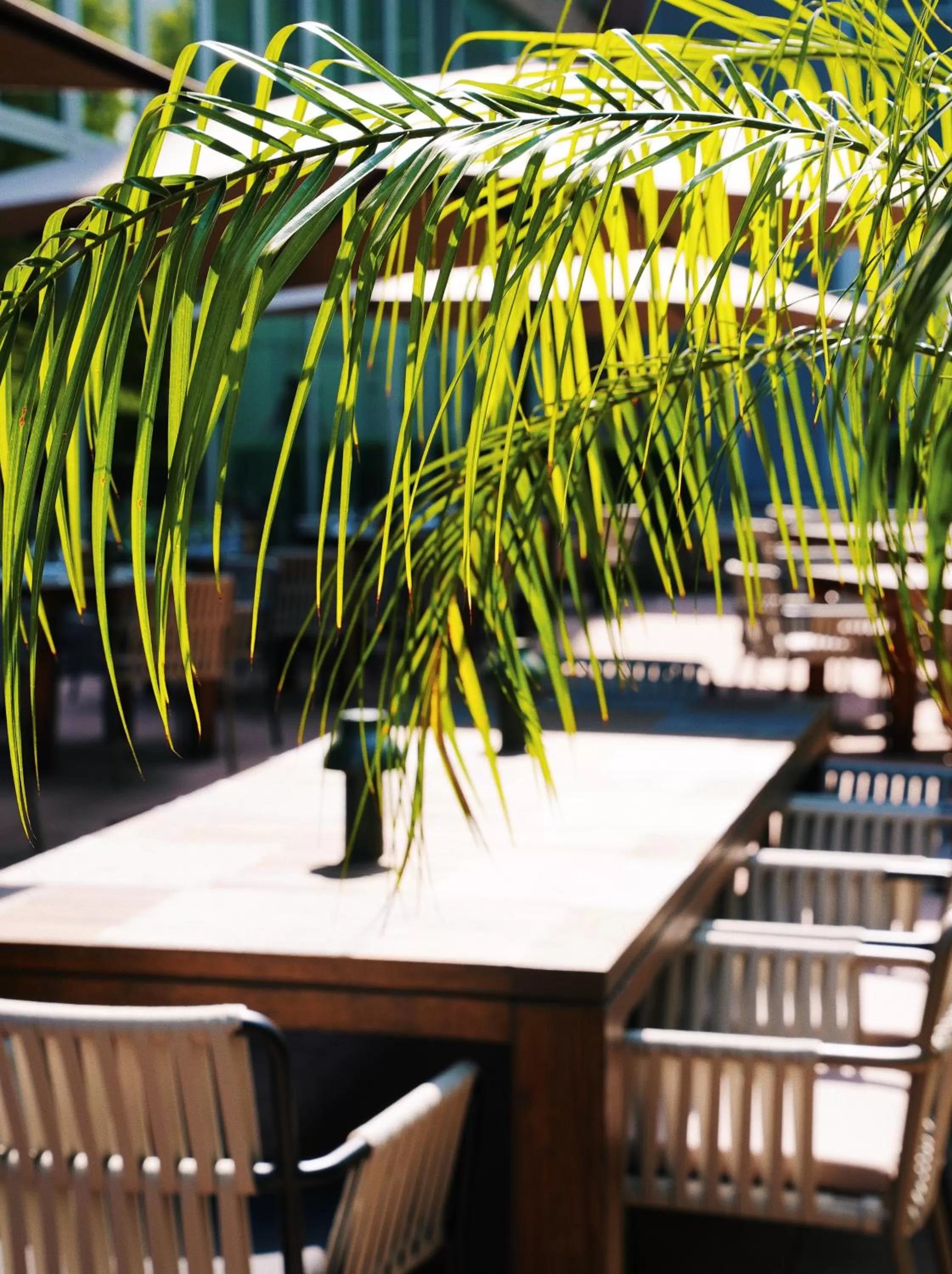 Balcony/Terrace in Hilton Frankfurt City Centre