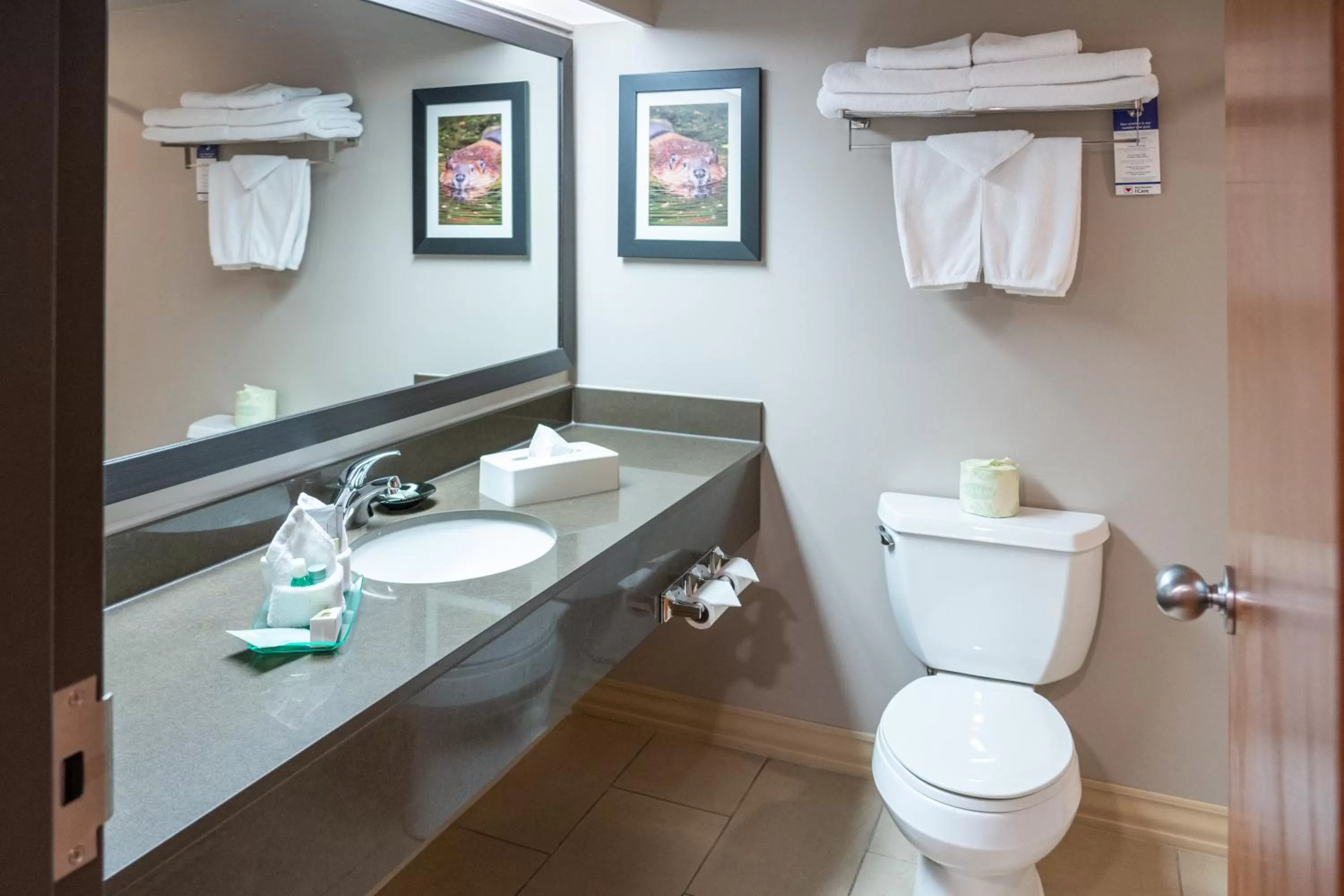 Toilet in Pocaterra Inn & Waterslide