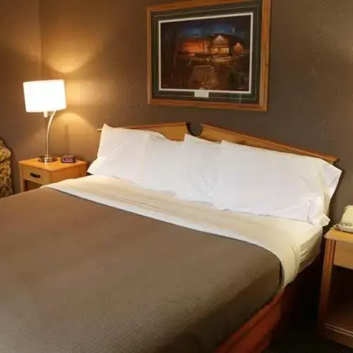 Bedroom, Bed in Boarders Inn and Suites by Cobblestone Hotels - Fayette