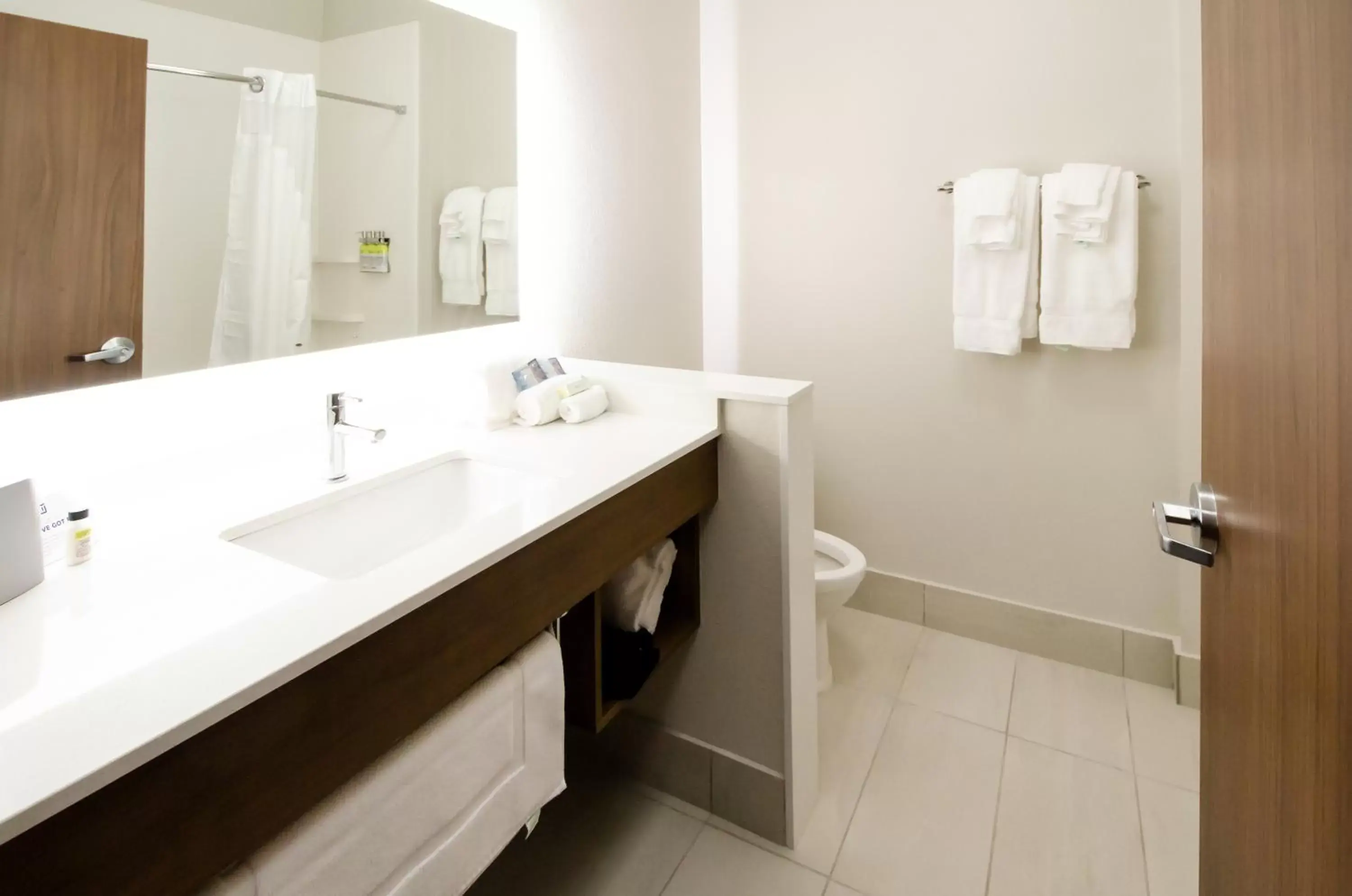 Bathroom in Holiday Inn Express & Suites Taylor, an IHG Hotel