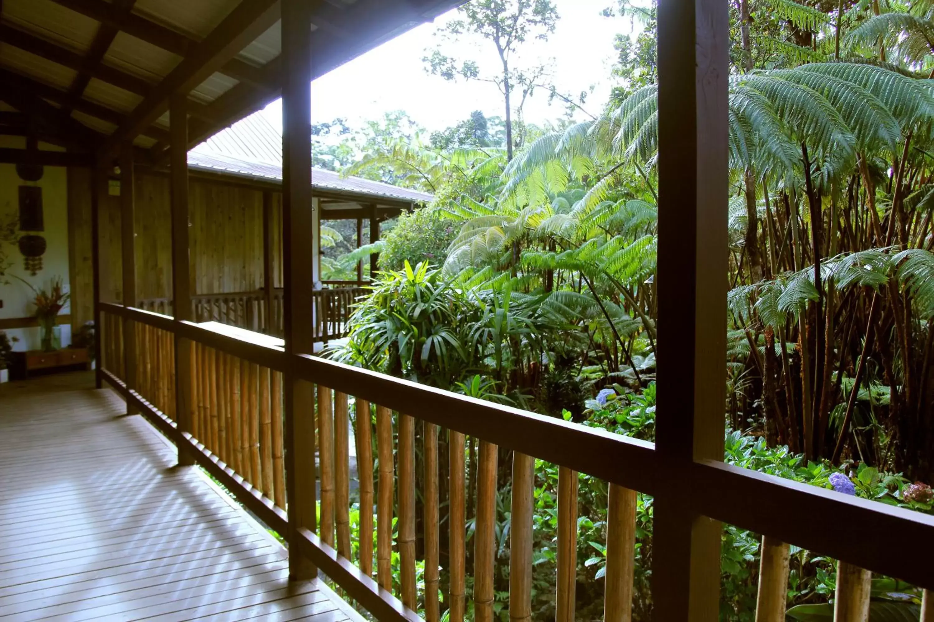 Garden, Balcony/Terrace in Lotus Garden Cottages