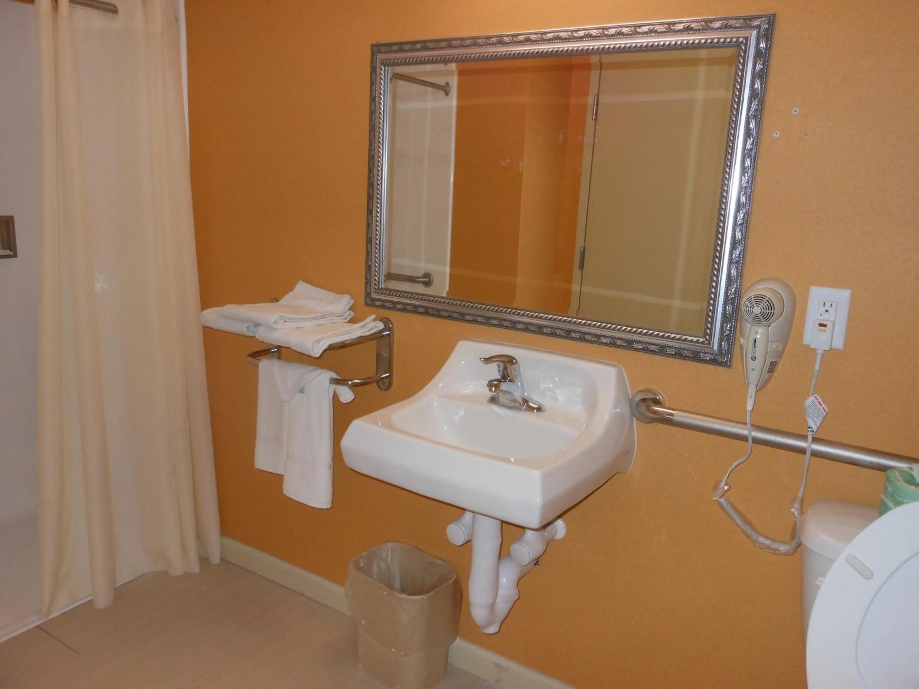 King Room - Smoking  in Rodeway Inn Newark