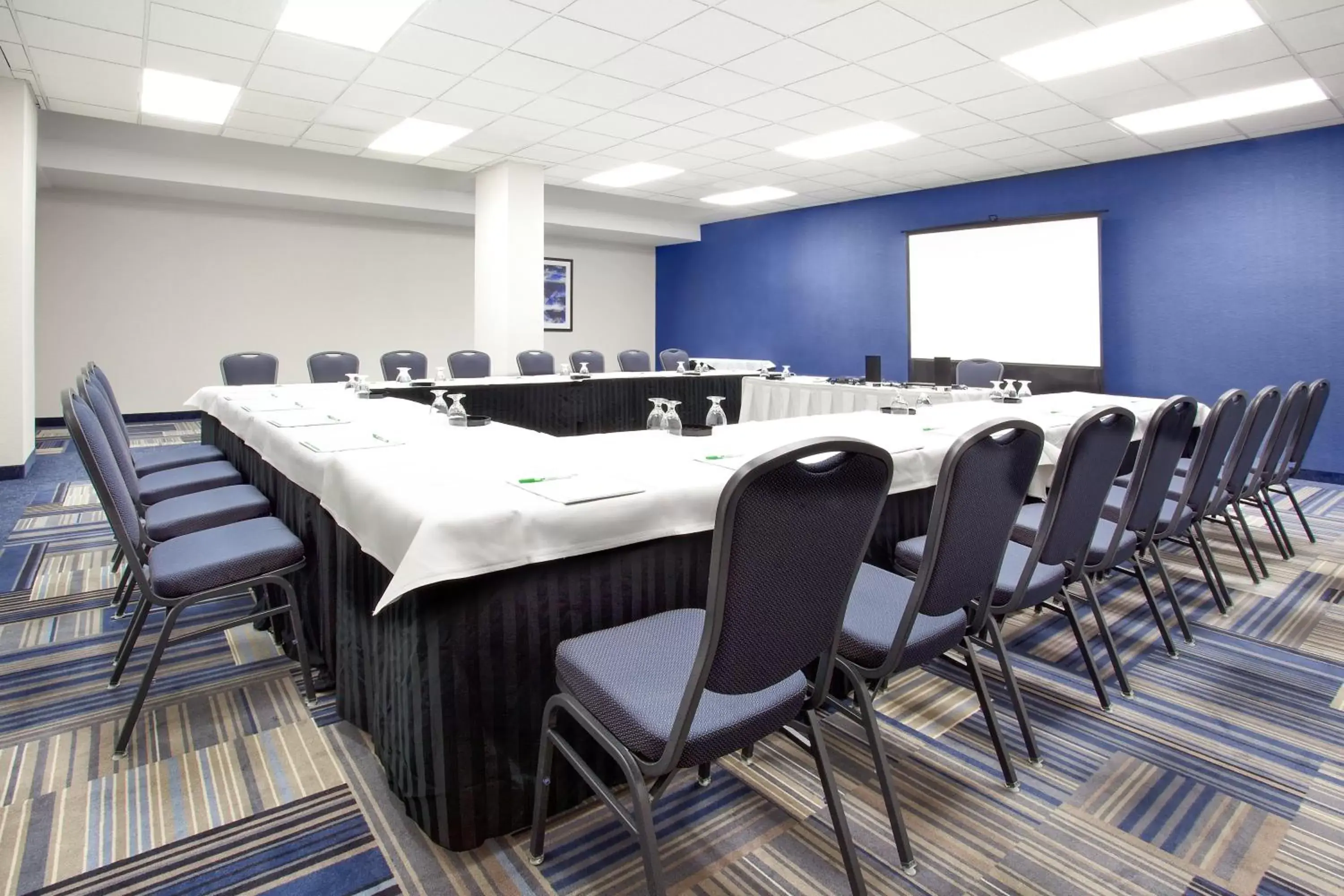 Meeting/conference room in Holiday Inn Ottawa East, an IHG Hotel