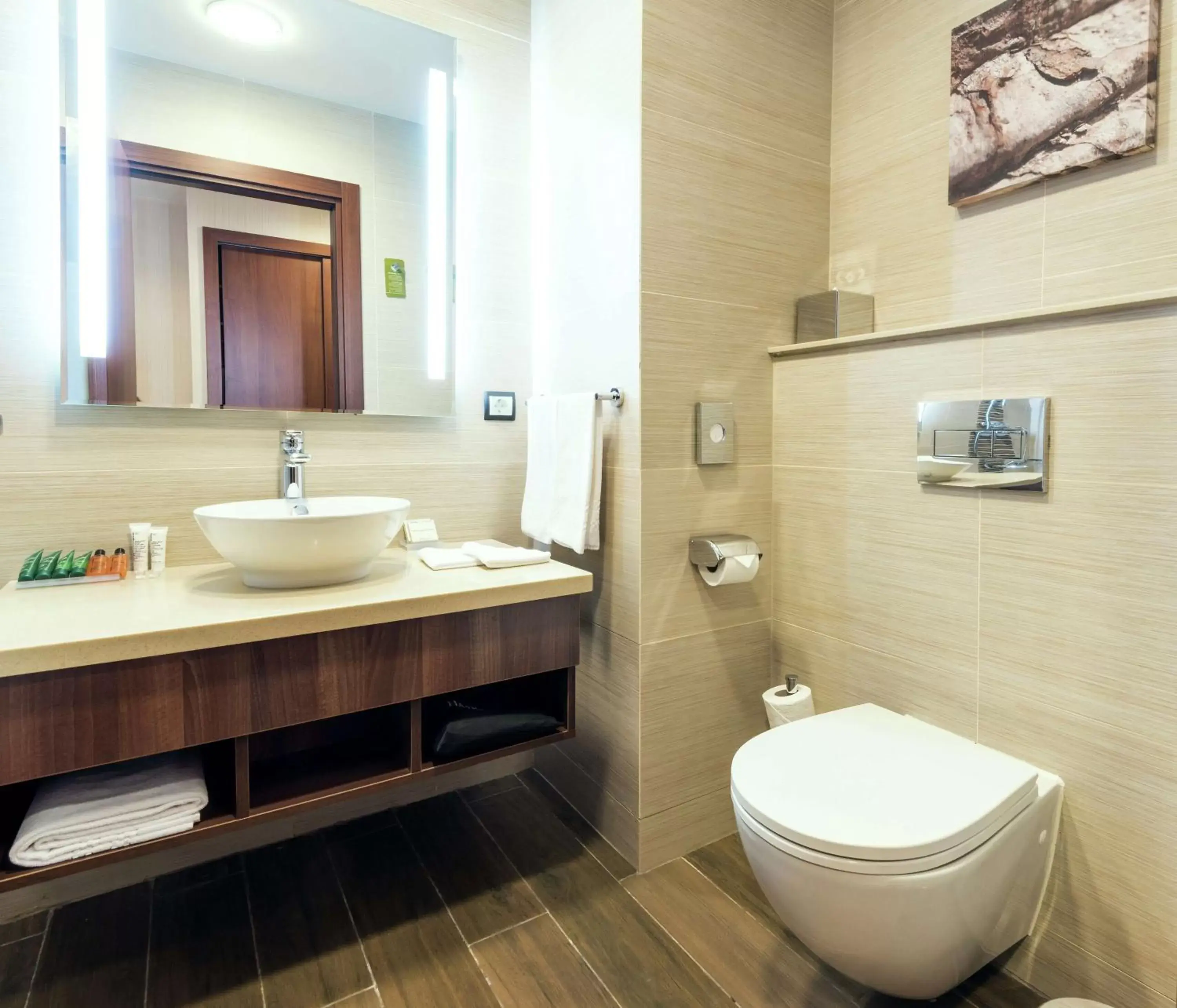 Bathroom in Hilton Garden Inn Astana
