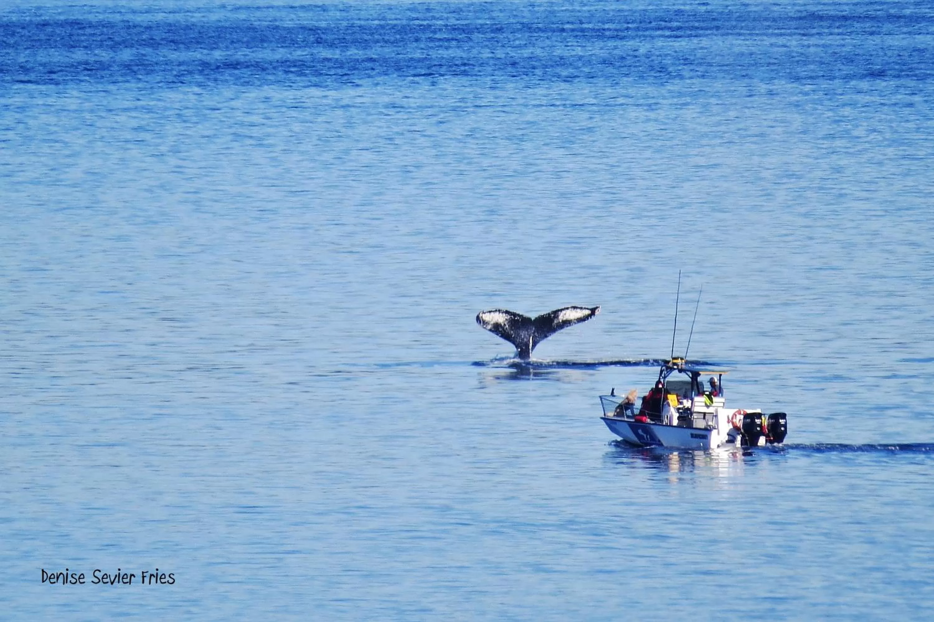 Day in Above Tide Motel