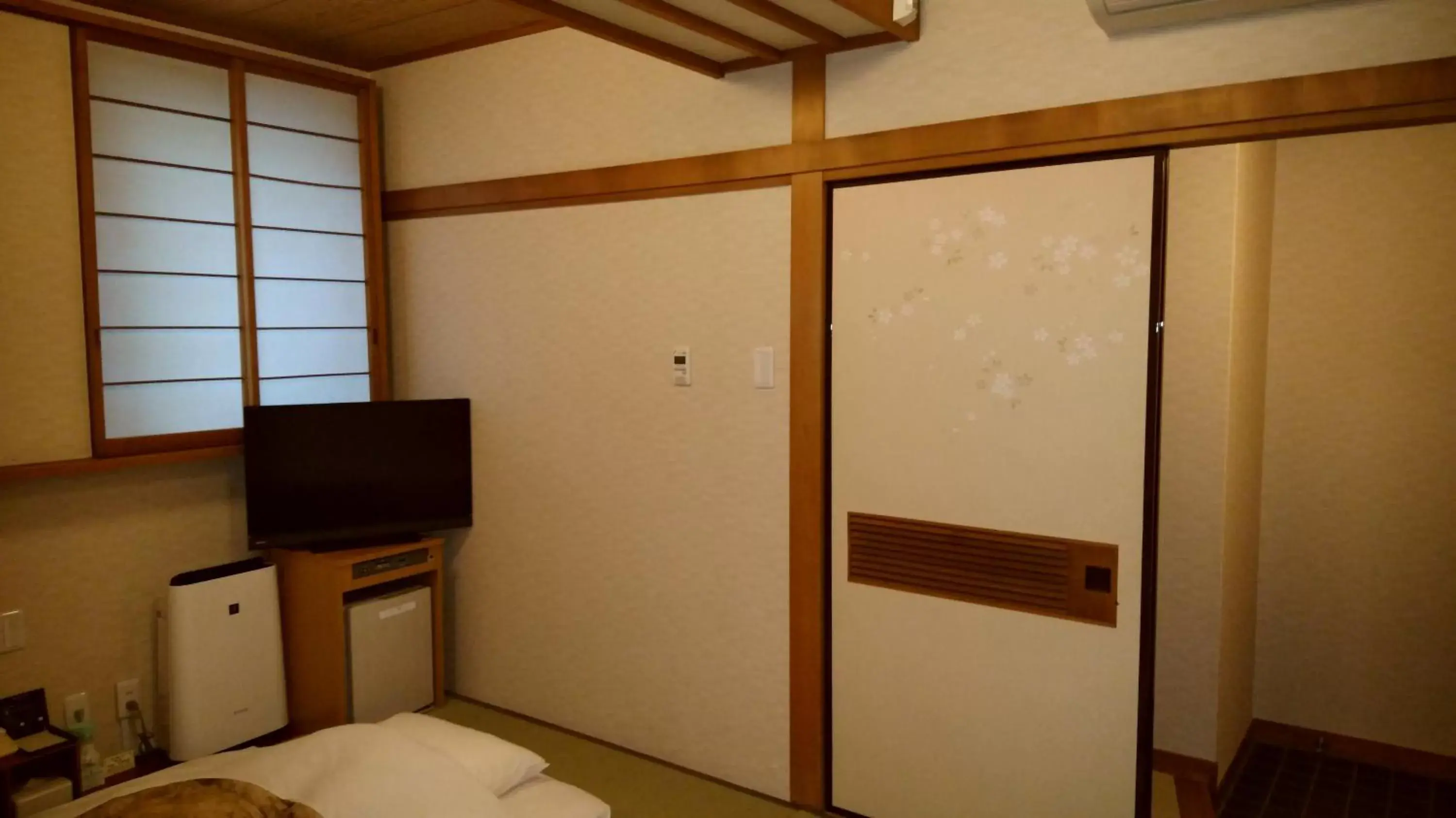 Photo of the whole room, TV/Entertainment Center in Ueno First City Hotel