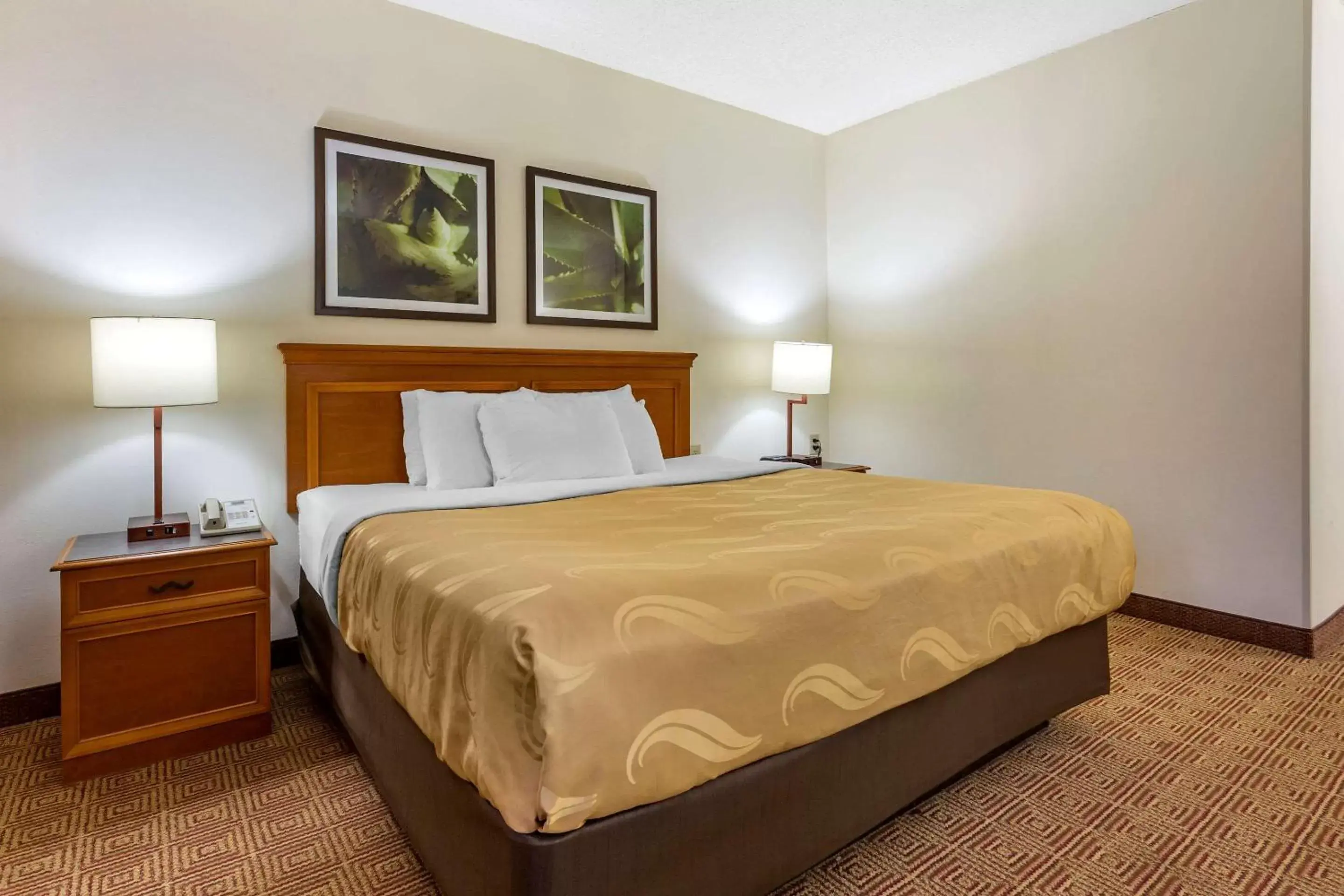 Photo of the whole room, Bed in Quality Inn & Suites Raleigh Durham Airport