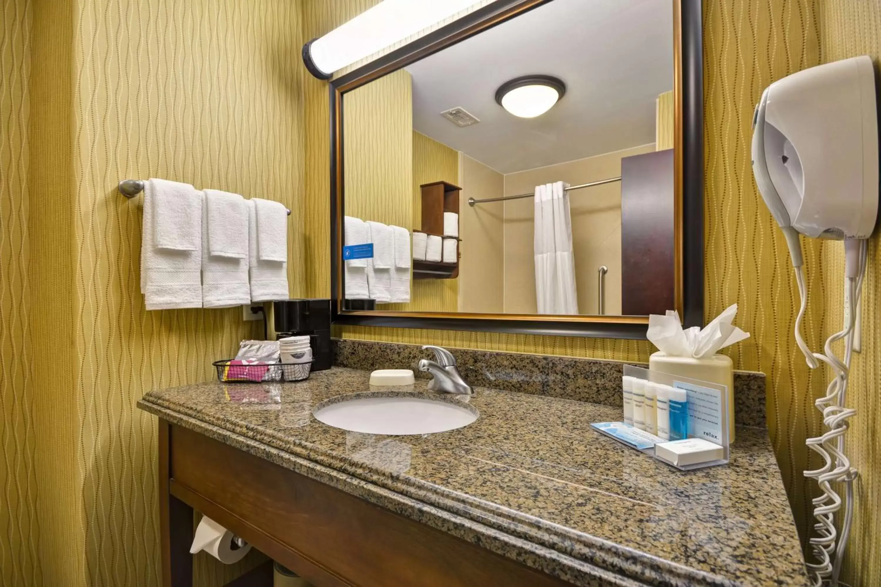 Bathroom in Hampton Inn & Suites Brenham