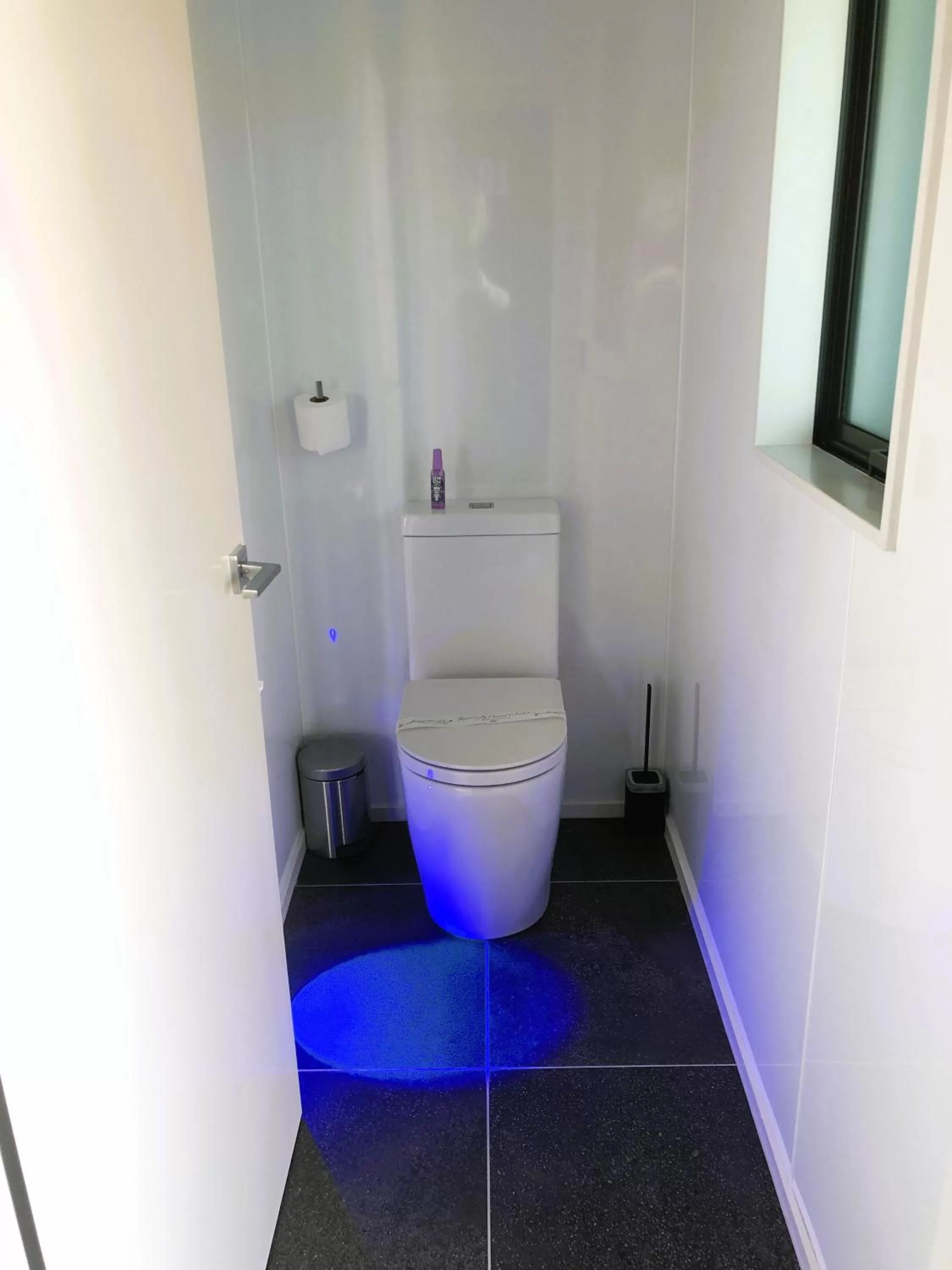 Toilet in Fiordland Lakeview Motel and Apartments