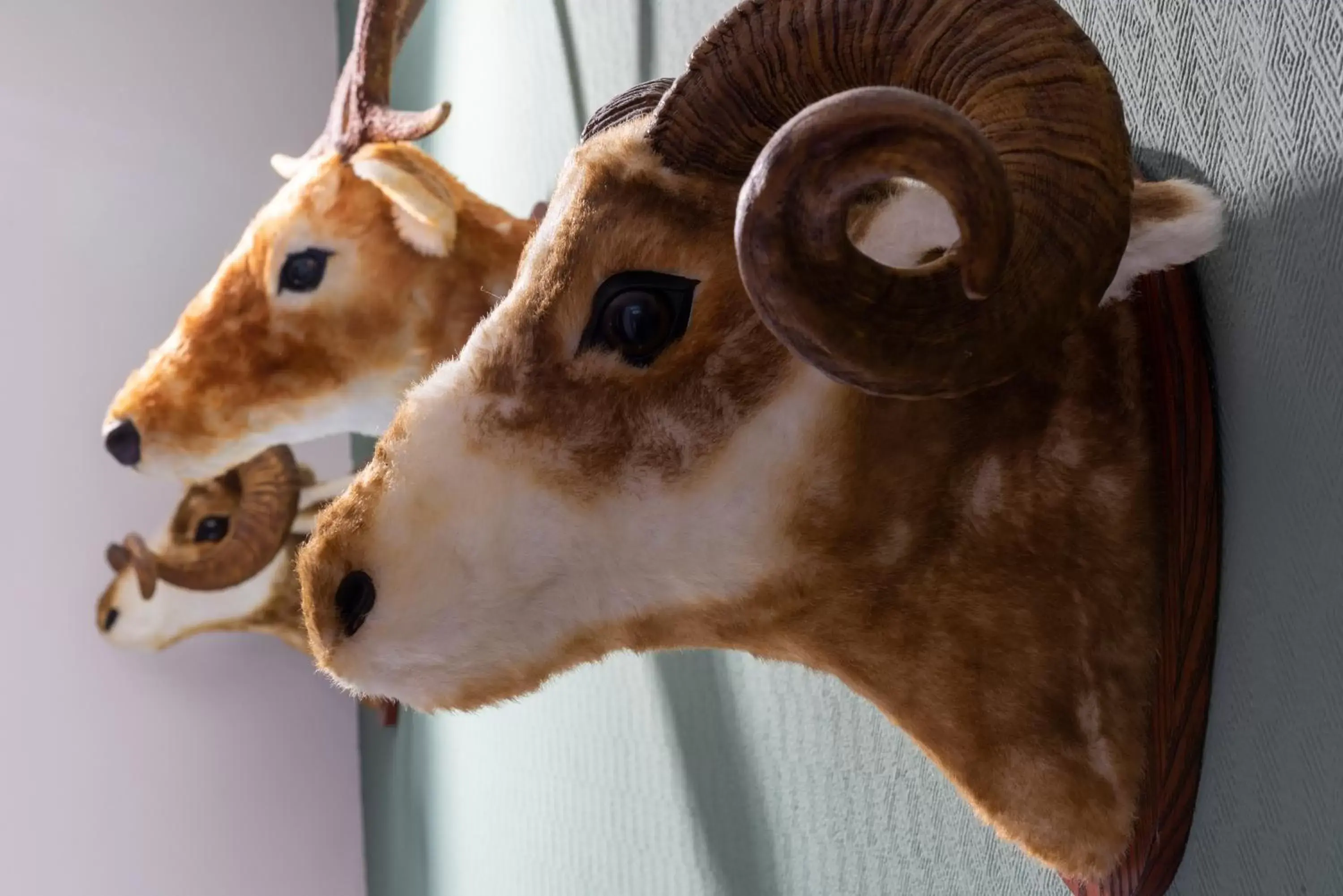 Photo of the whole room in Wyndham Garden Donaueschingen Photo of the whole room in Wyndham Garden Donaueschingen