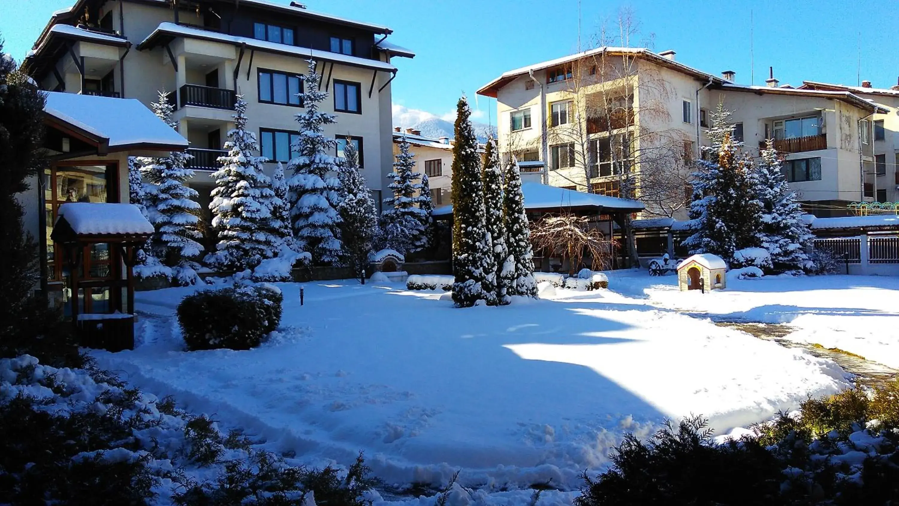 Garden, Winter in Evelina Palace Hotel