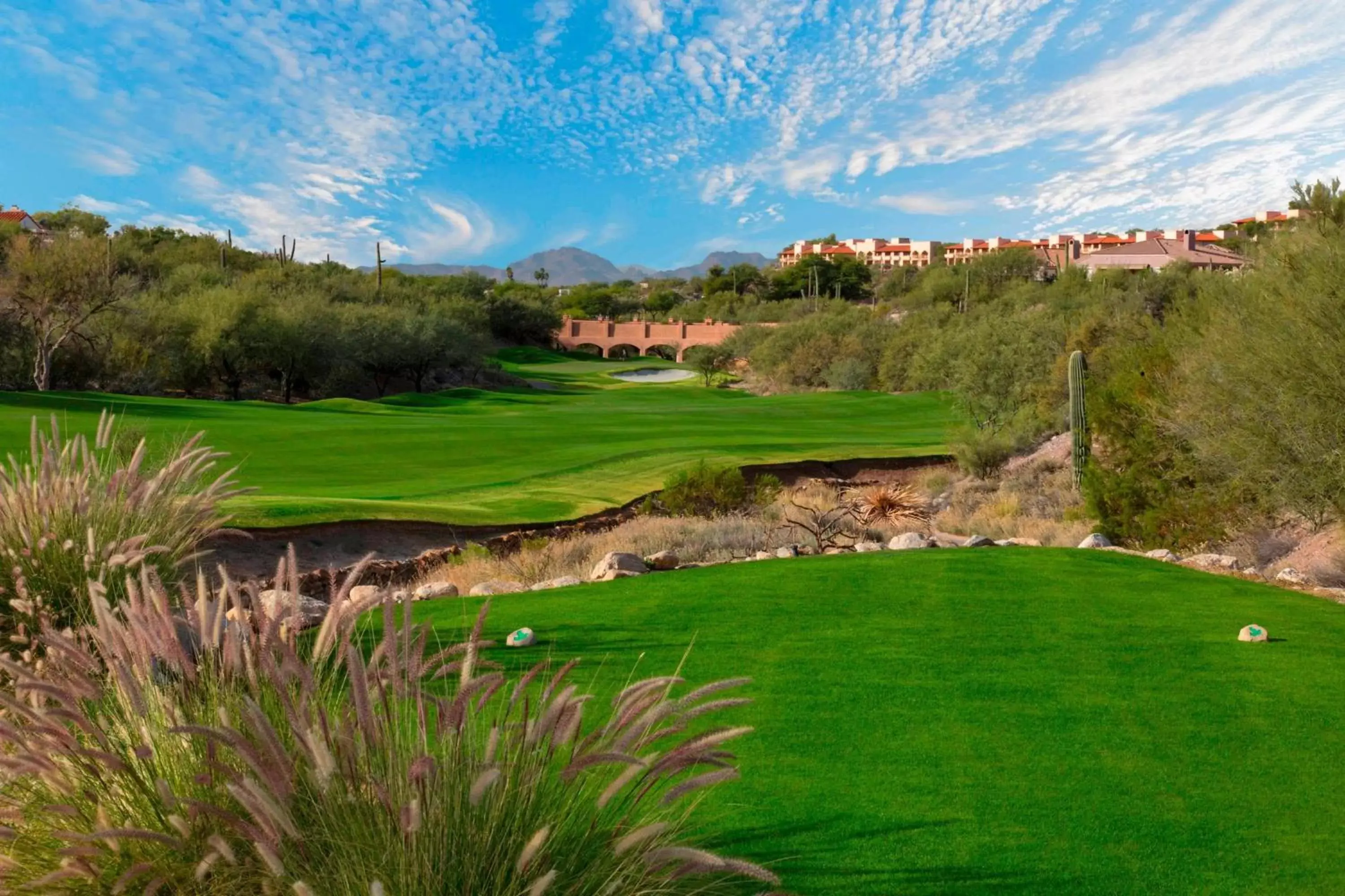 Golfcourse, Natural Landscape in The Westin La Paloma Resort & Spa