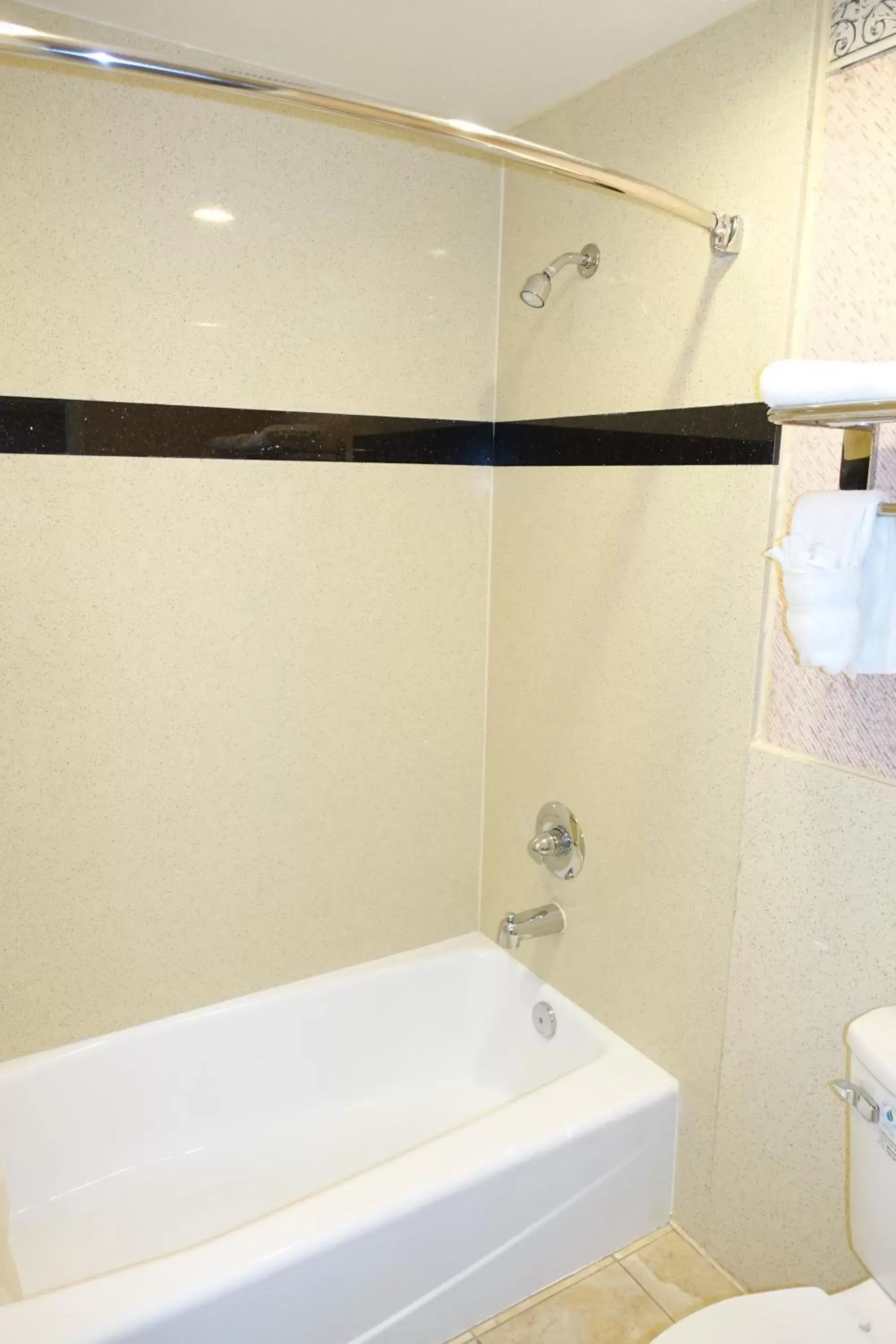 Shower, Bathroom in Tropic Lodge