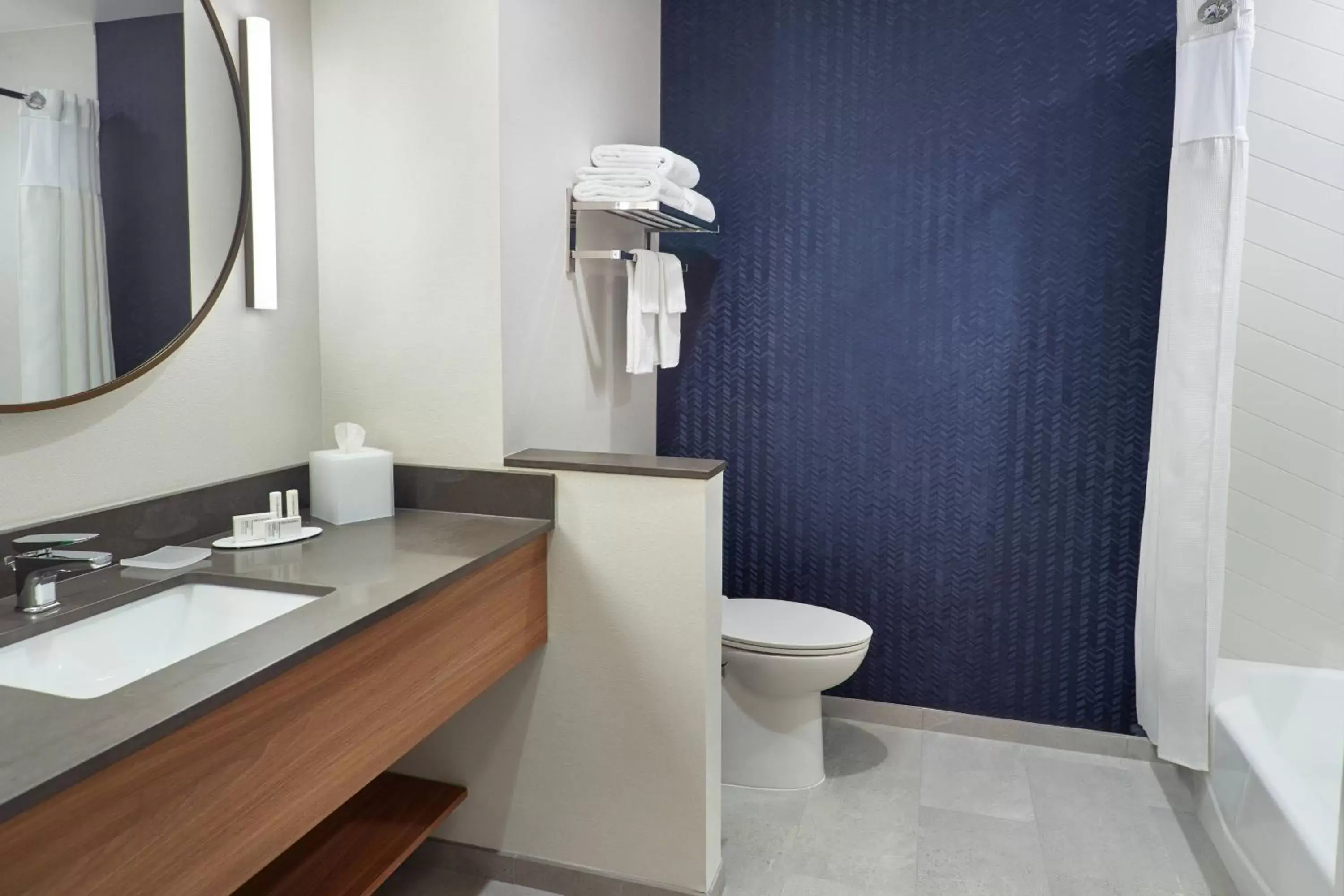 Bathroom in Fairfield Inn & Suites by Marriott Athens-University Area