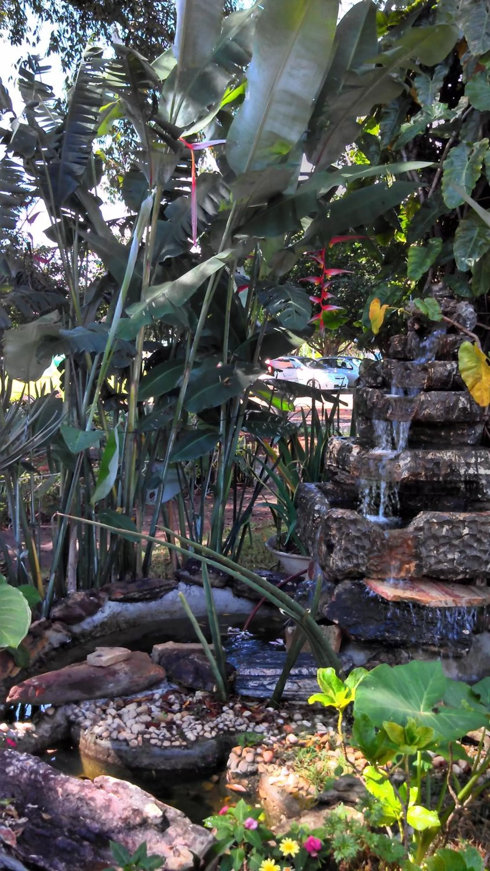 Garden view in Kzazendf Cama&Cafe Hospedagem Familiar