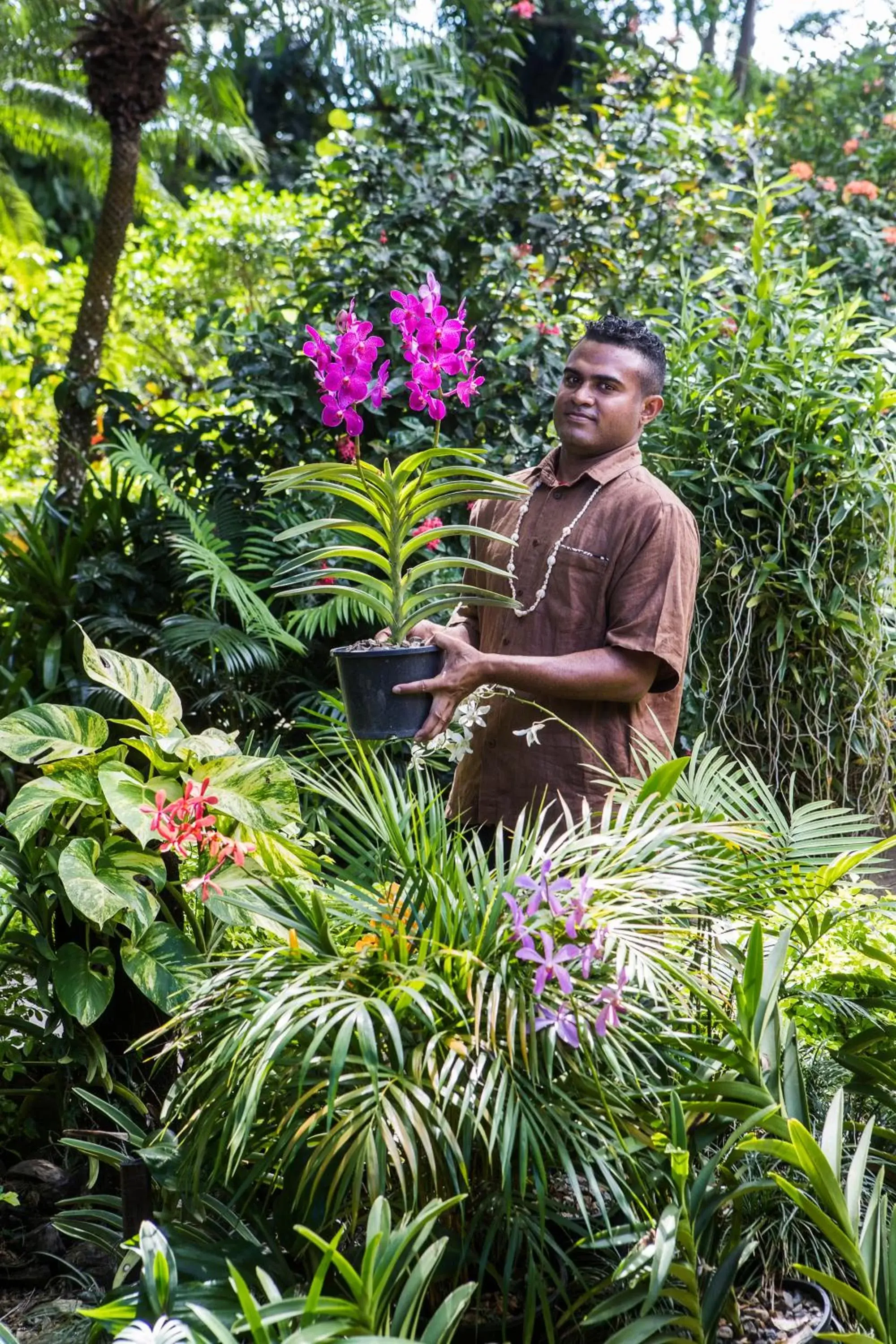 Garden view in The Fiji Orchid