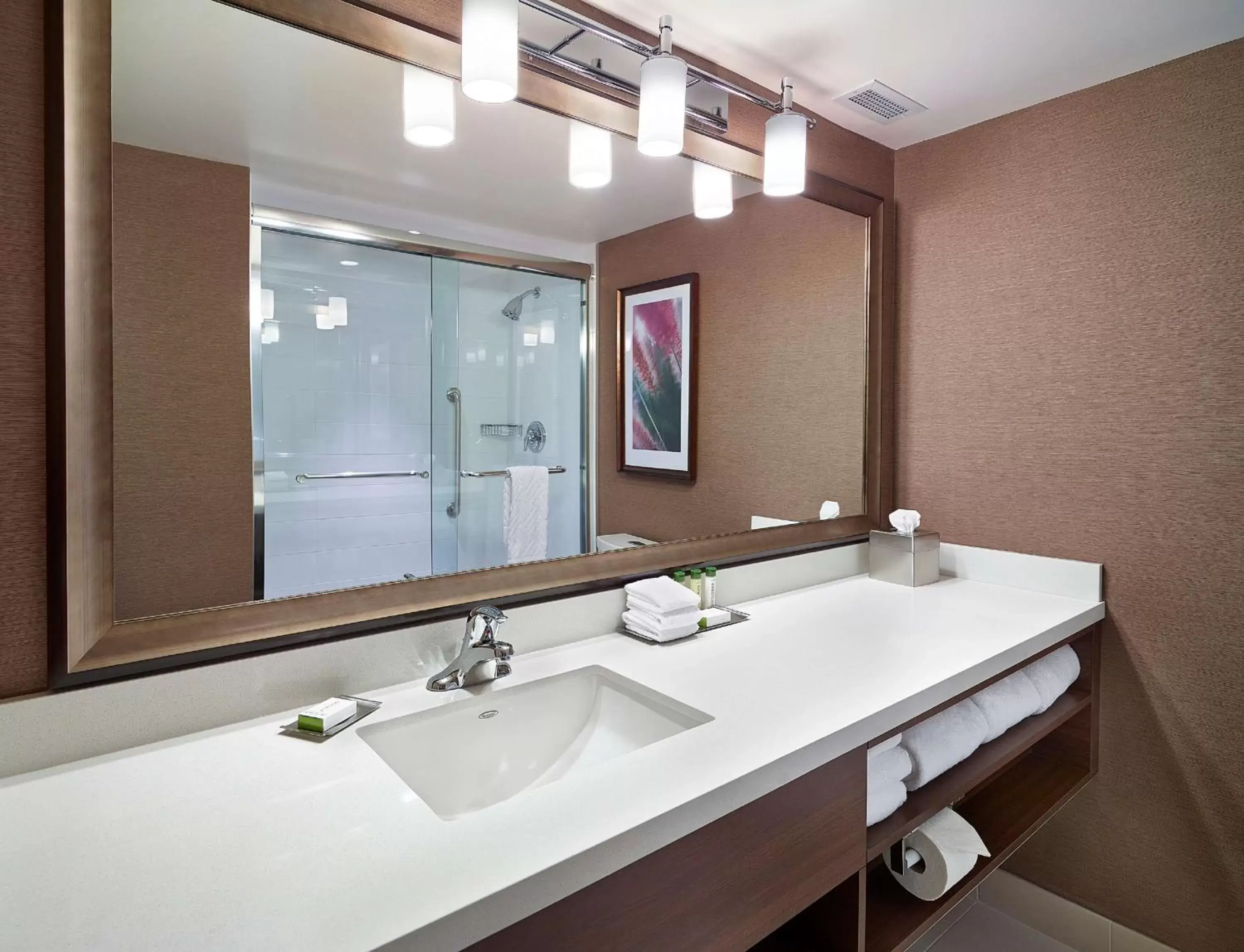 Bathroom in DoubleTree by Hilton West Edmonton