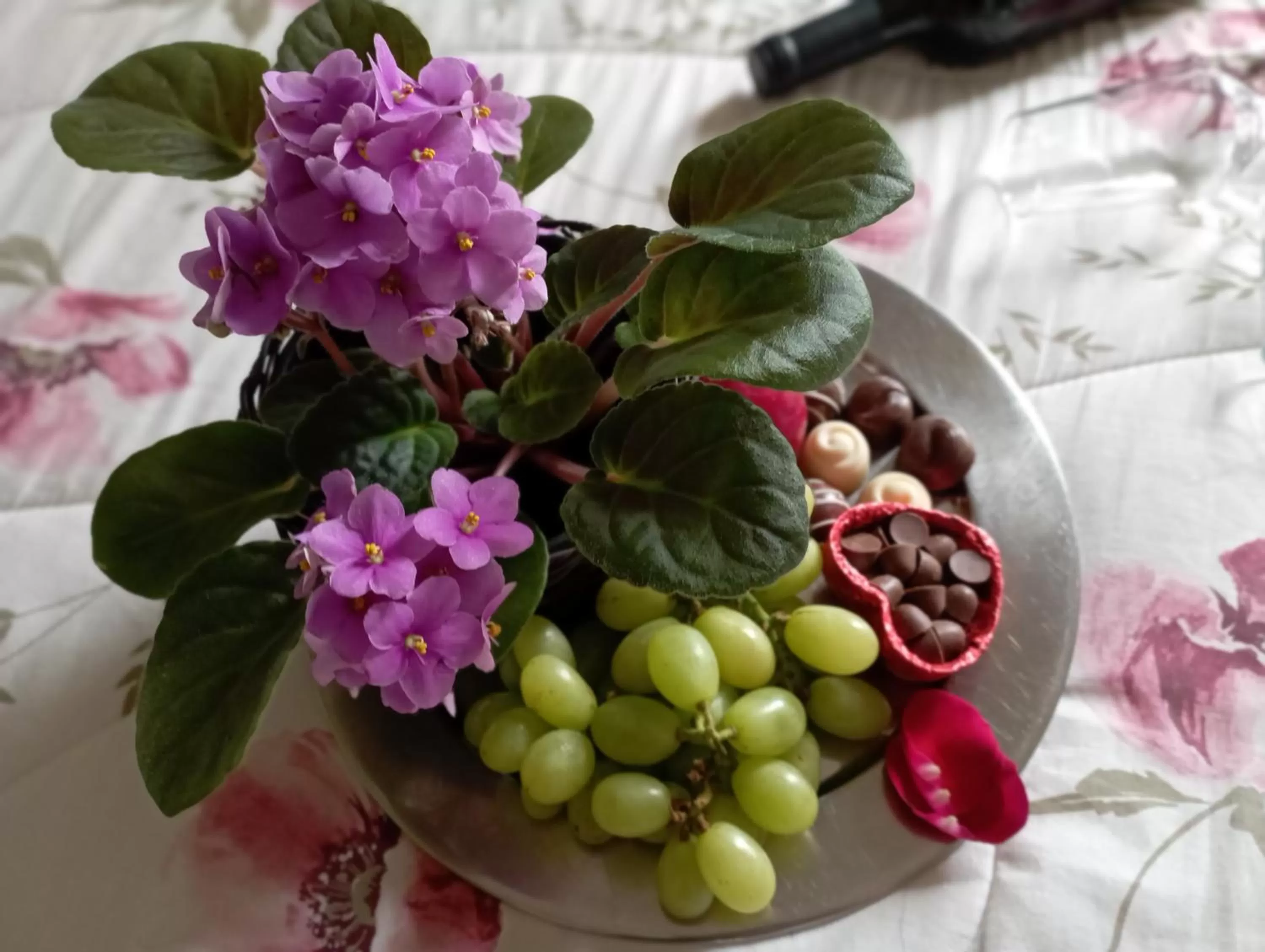 Food in Pousada Curumi