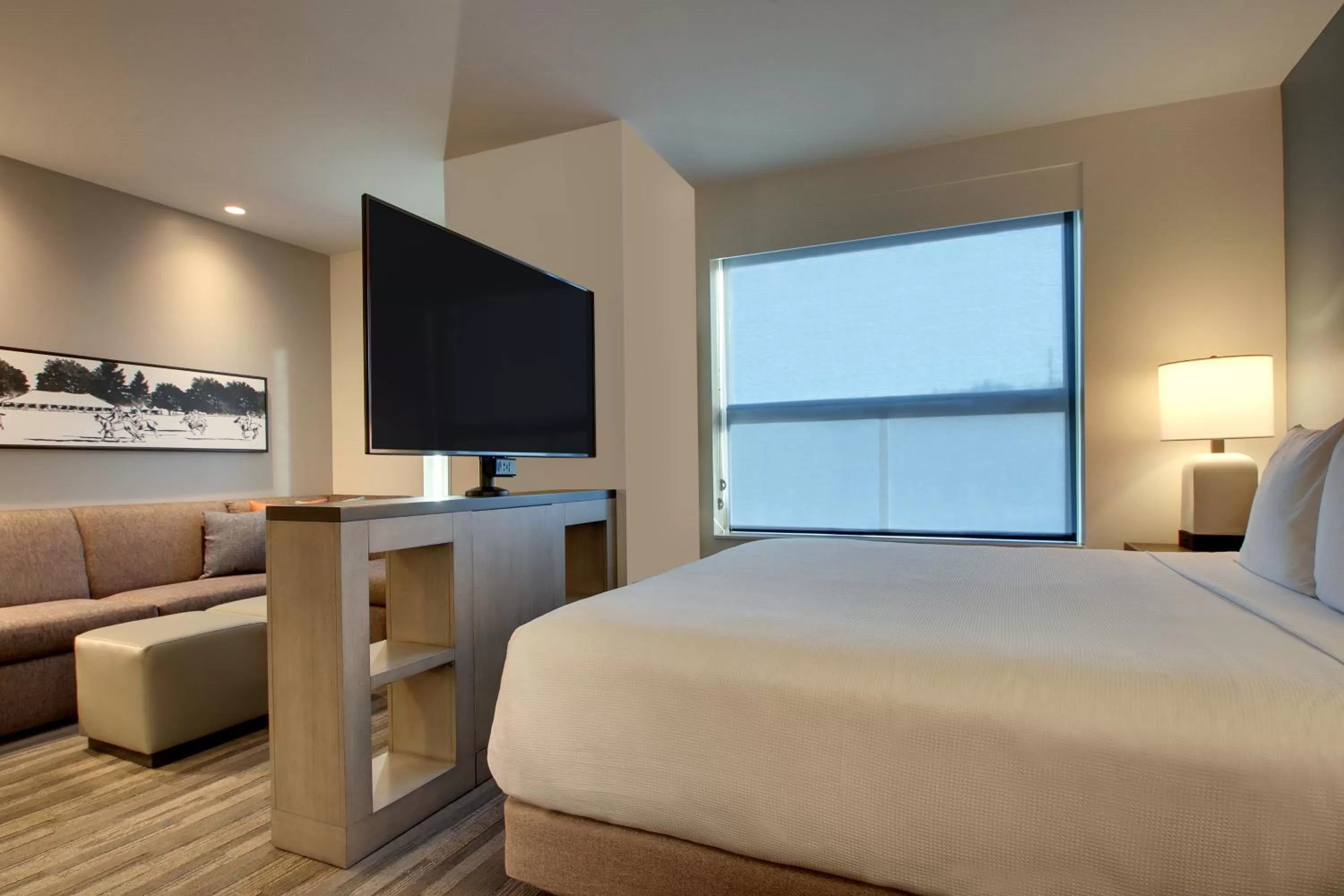 King Studio Suite with Sofa Bed and Roll-In Shower - Disability Access in Hyatt House Oak Brook