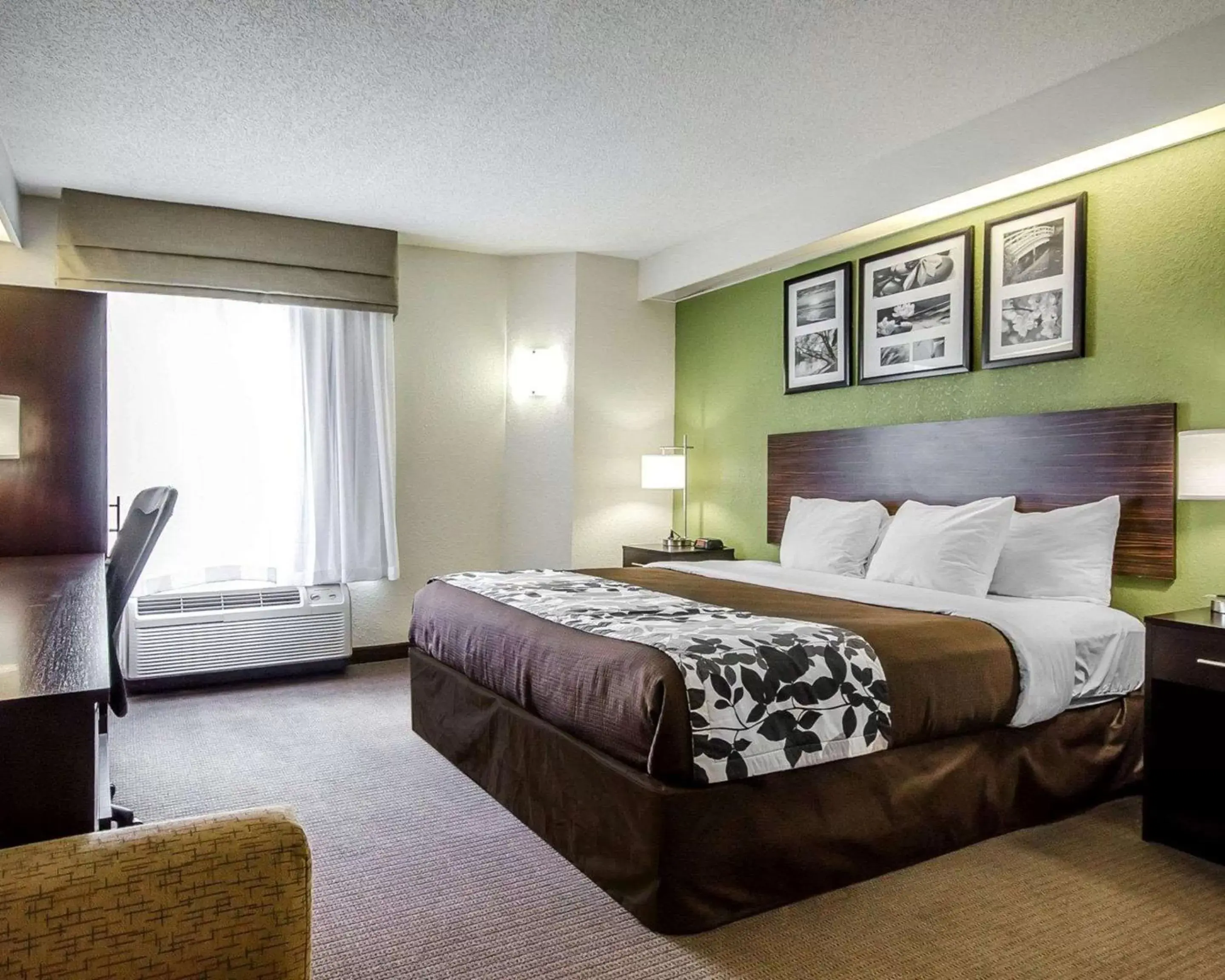 Photo of the whole room, Bed in Sleep Inn Louisville Airport & Expo