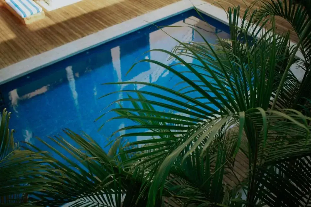 Pool View in Hotel Casa Tota