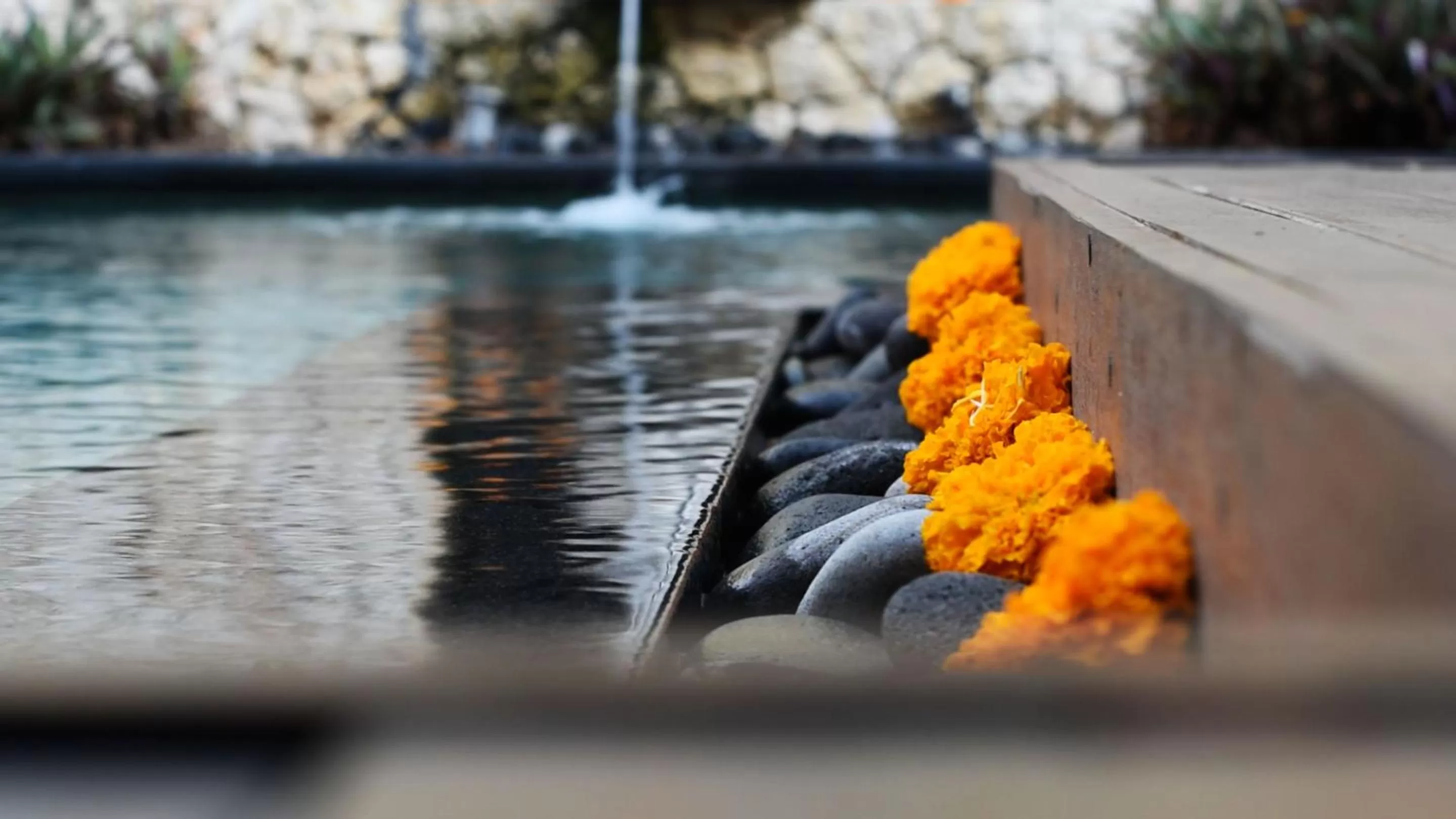 Garden view in Manzelejepun Villa & Pavilion