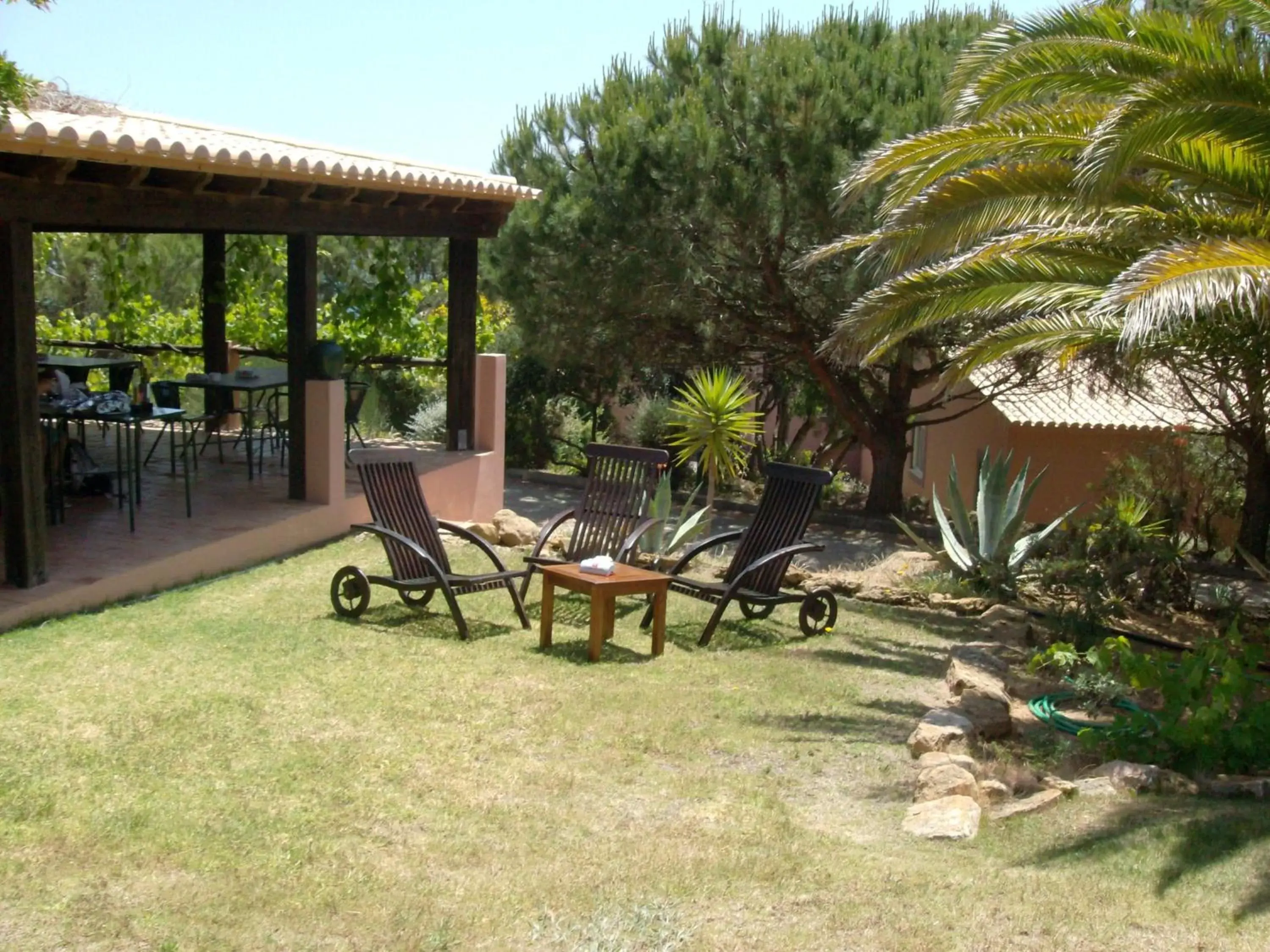 Lounge or bar, Garden in Belver Porto Dona Maria