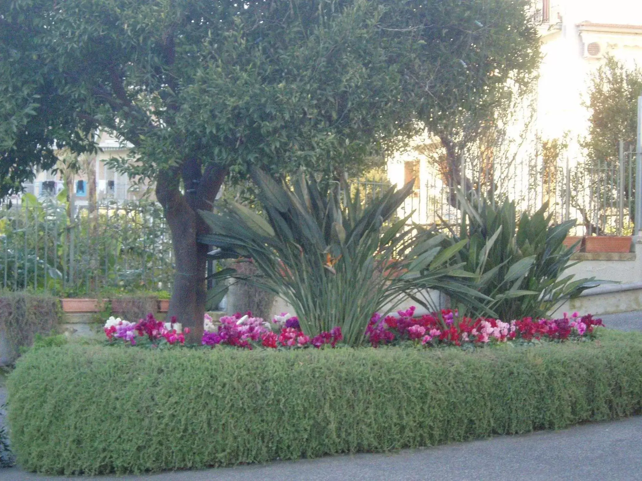 Other, Garden in Miramare Residence