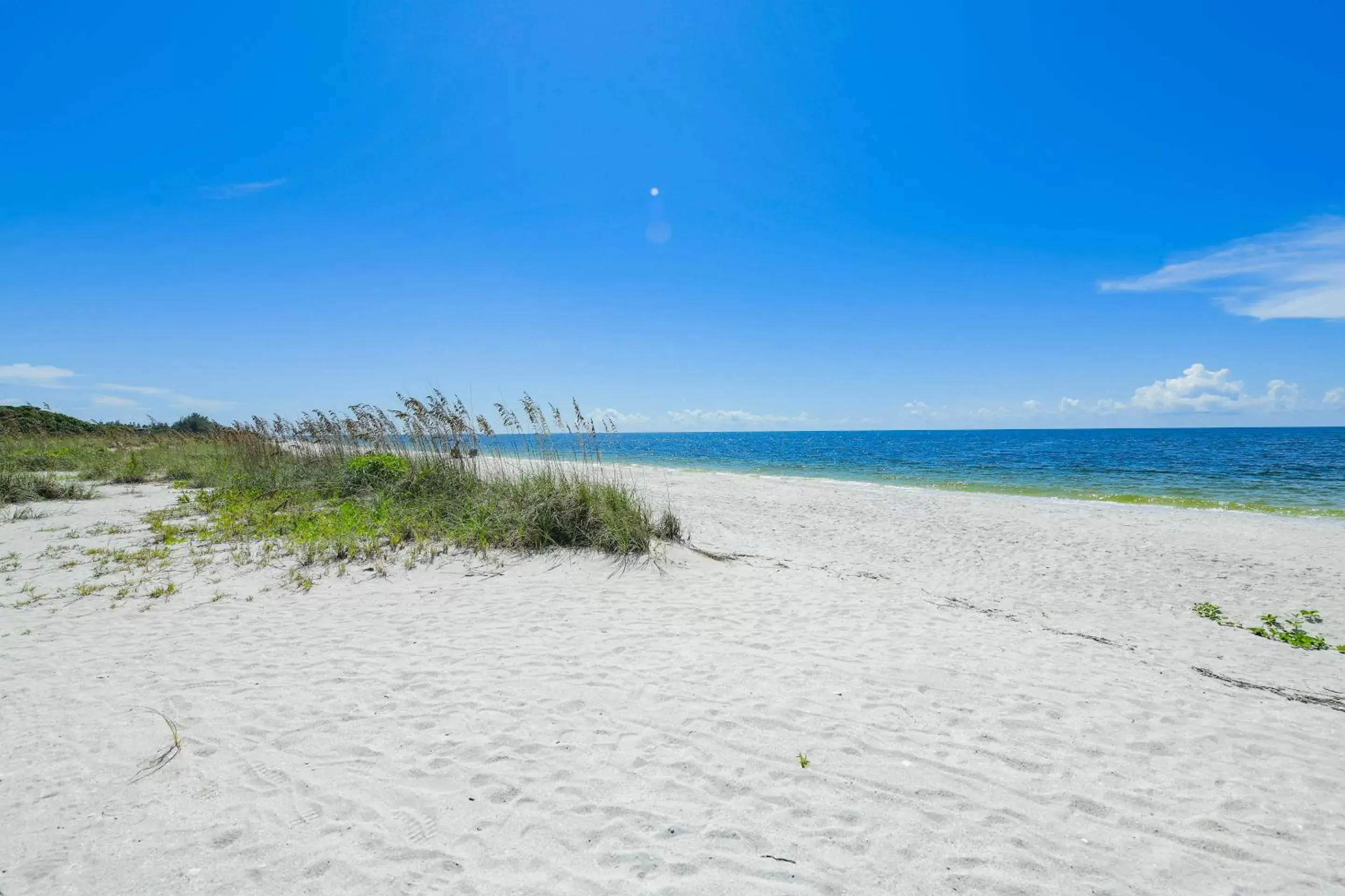 Beach in Casey Key Resorts - Beachfront