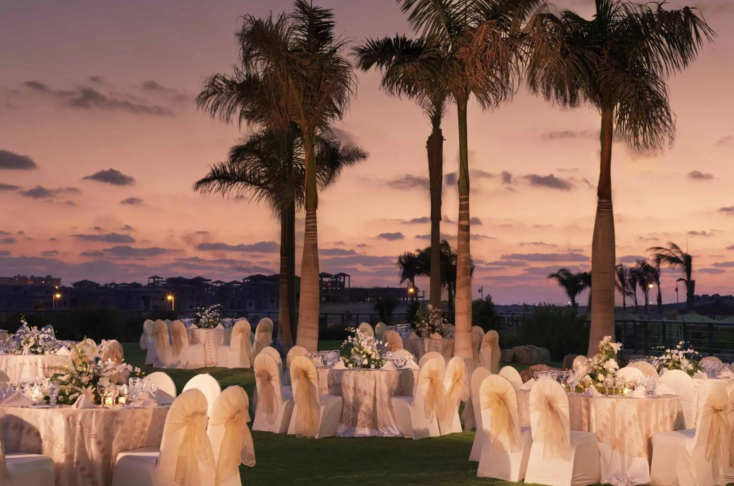 Banquet/Function facilities, Banquet Facilities in Radisson Blu Hotel Alexandria