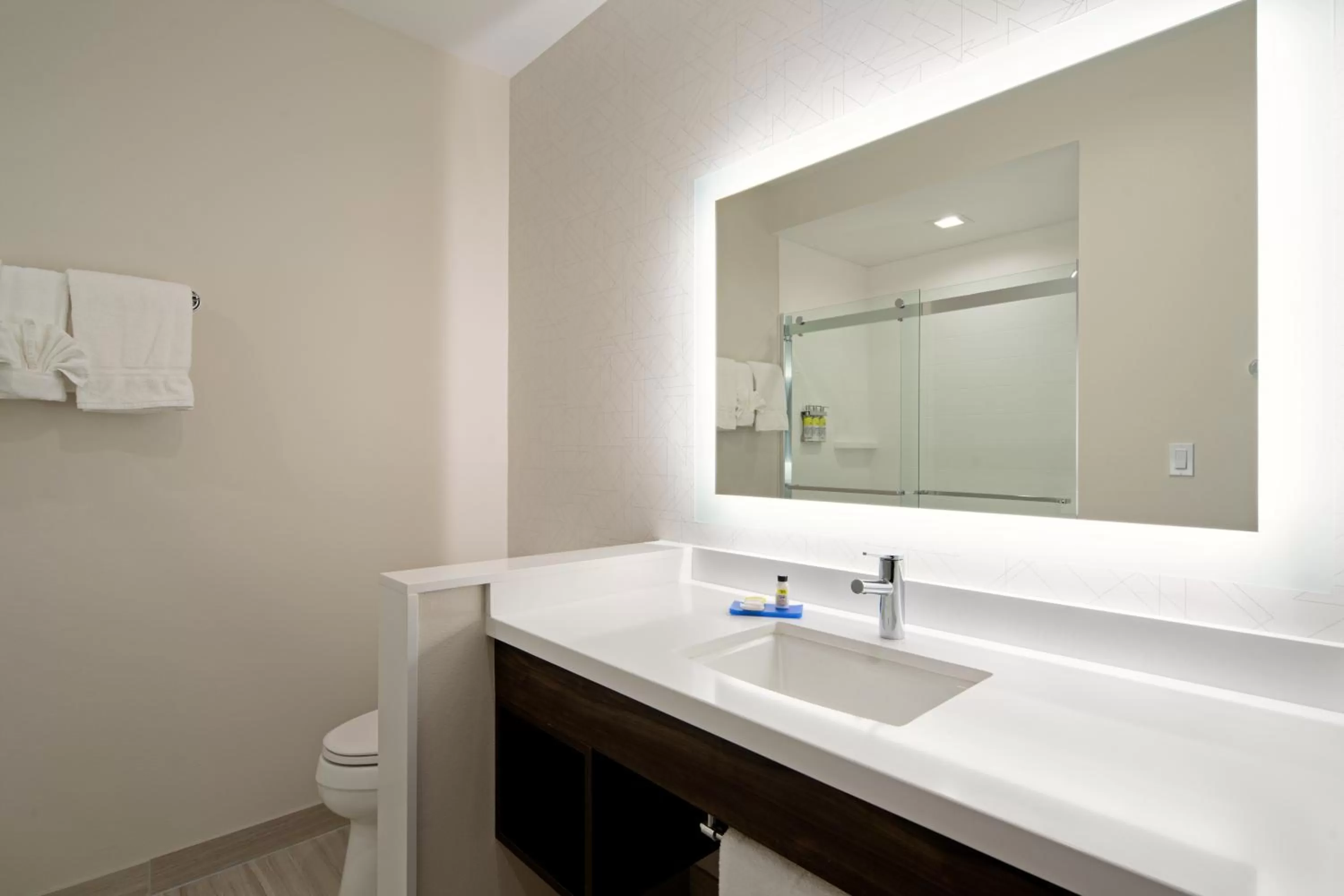 Toilet in Holiday Inn Express & Suites - Valencia - Santa Clarita by IHG