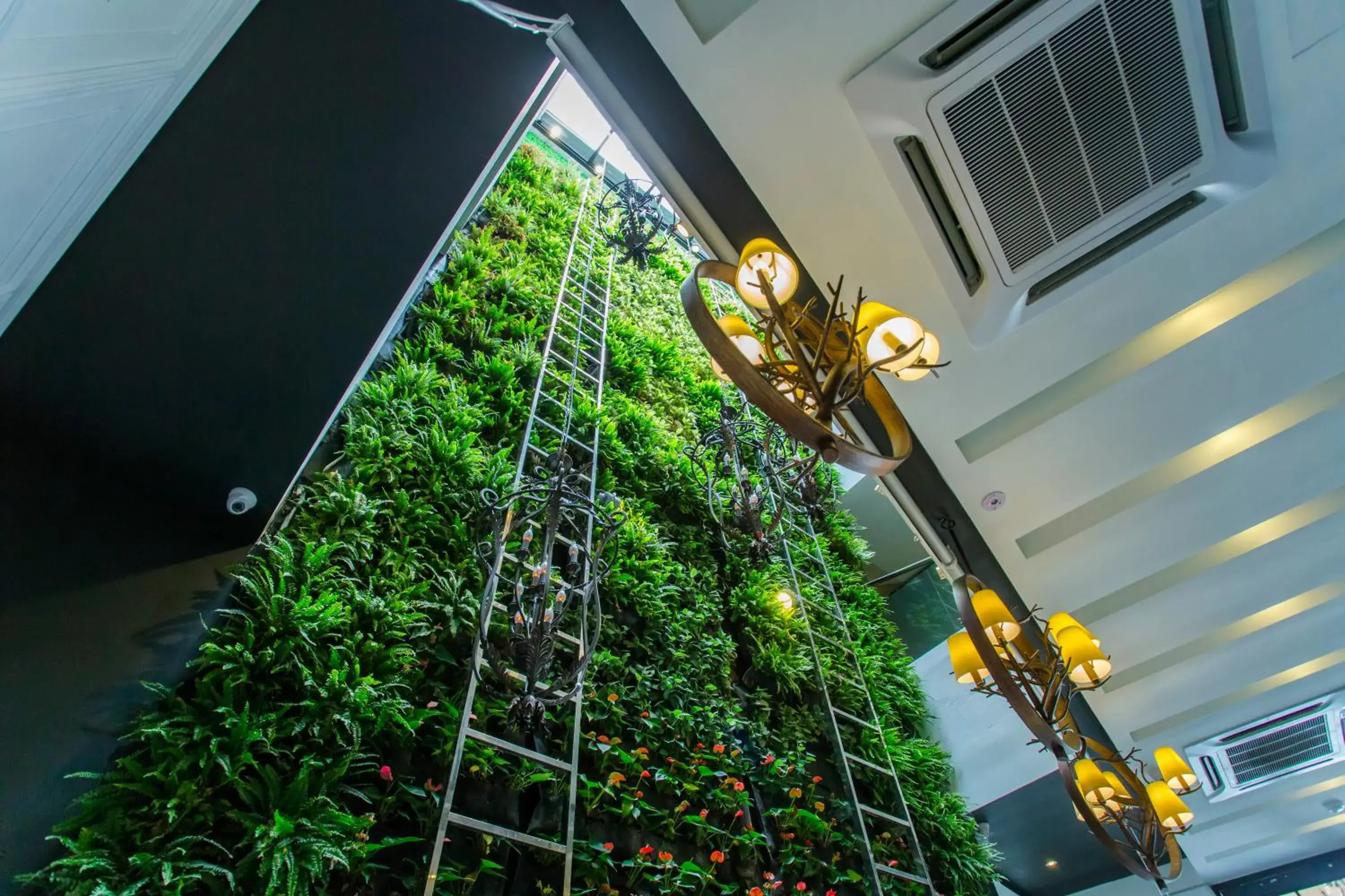 Garden view in Midori Concept Hotel Garden view in Midori Concept Hotel