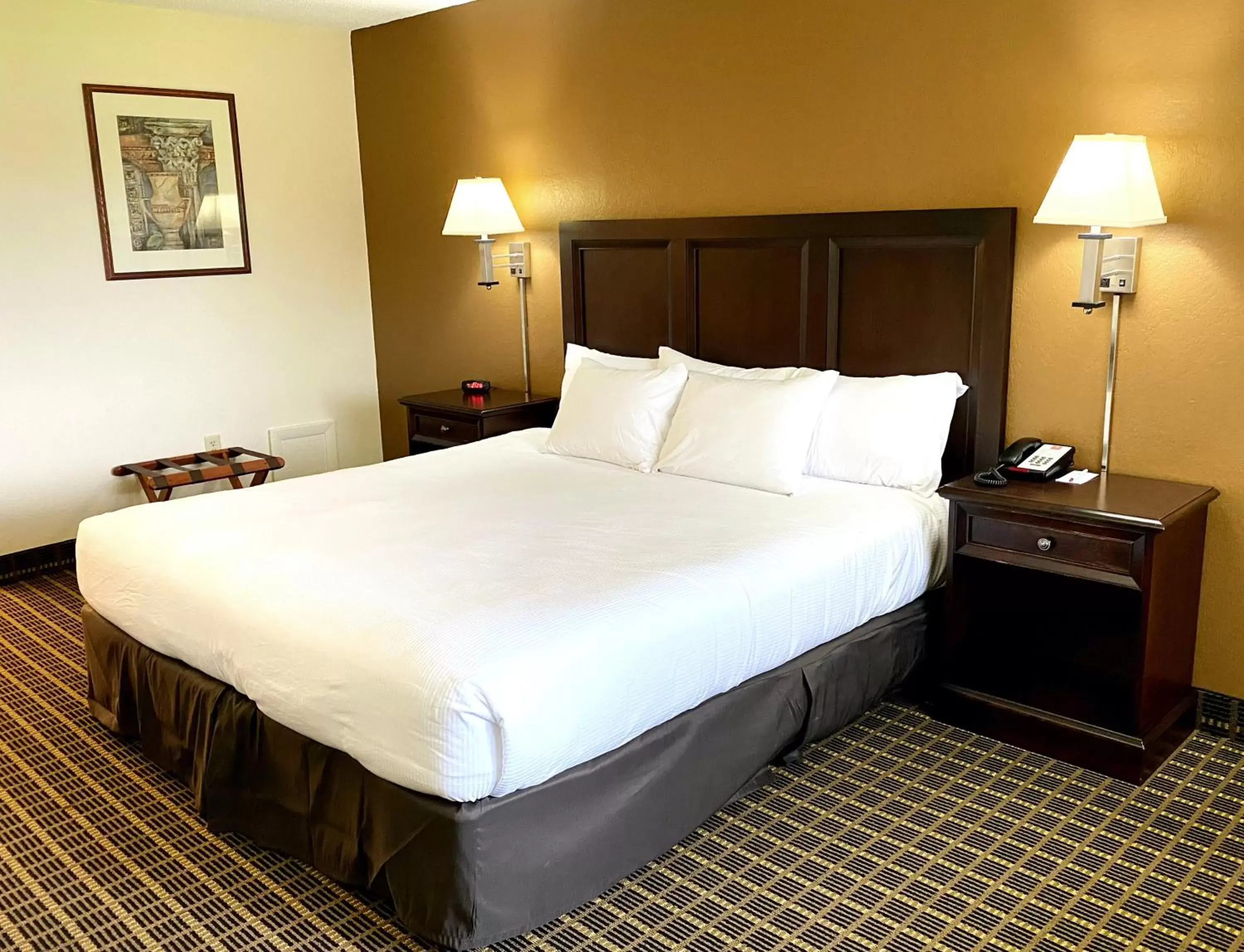 Bed in Roadstar Hotel Zephyrhills Bed in Roadstar Hotel Zephyrhills