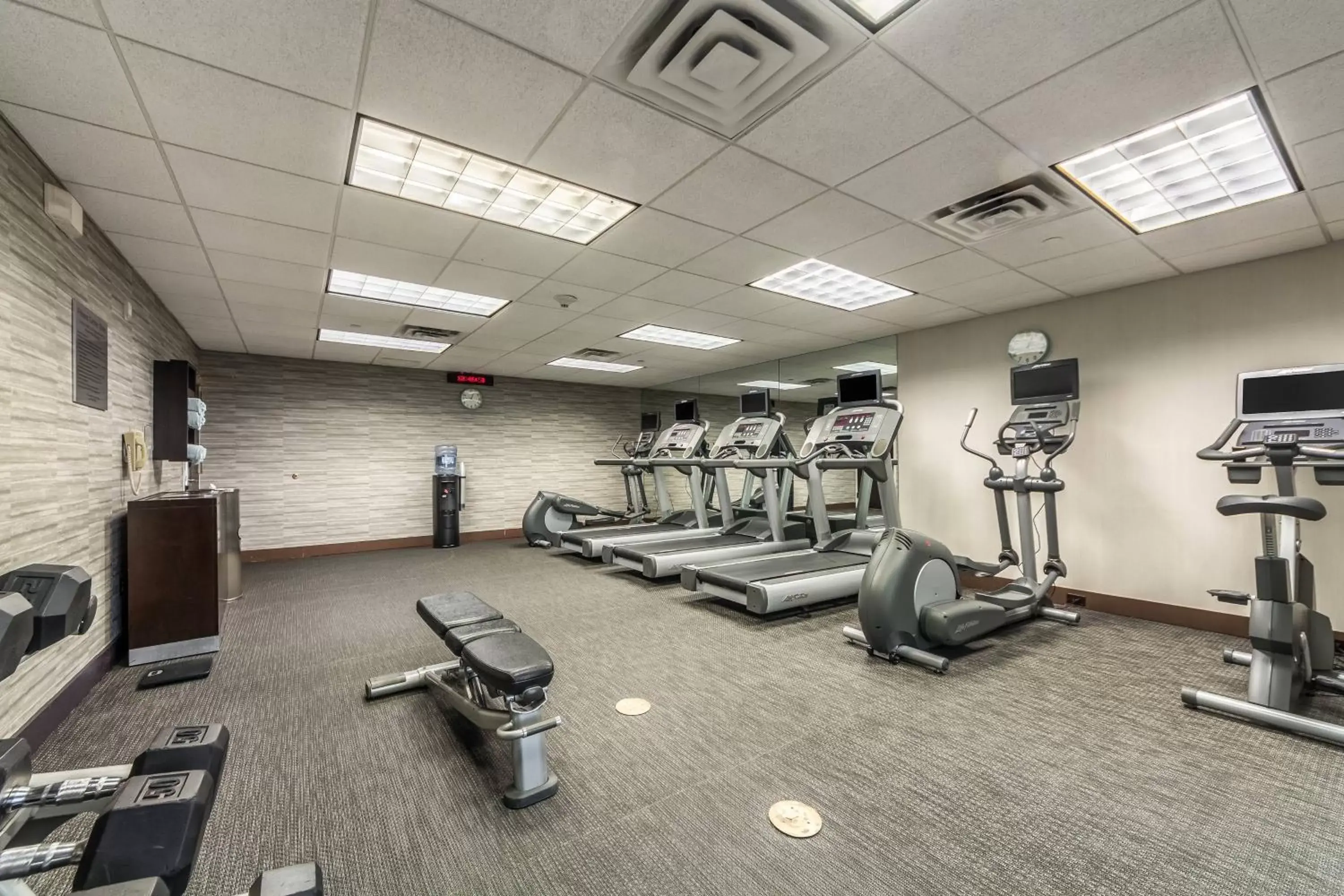 Fitness centre/facilities, Fitness Center/Facilities in Courtyard Dallas DFW Airport South/Irving