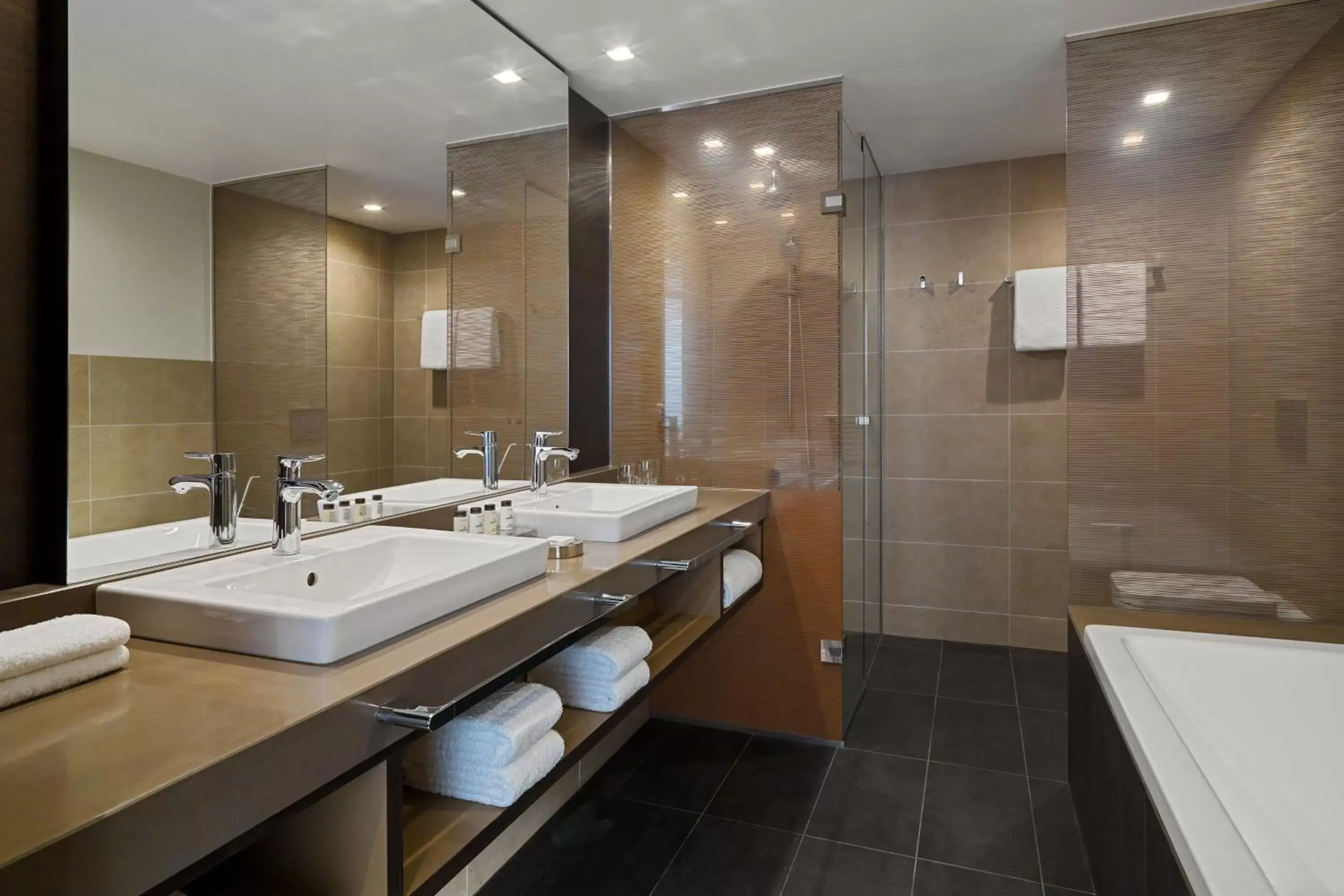 Lounge or bar, Bathroom in Sheraton Grand Tbilisi Metechi Palace